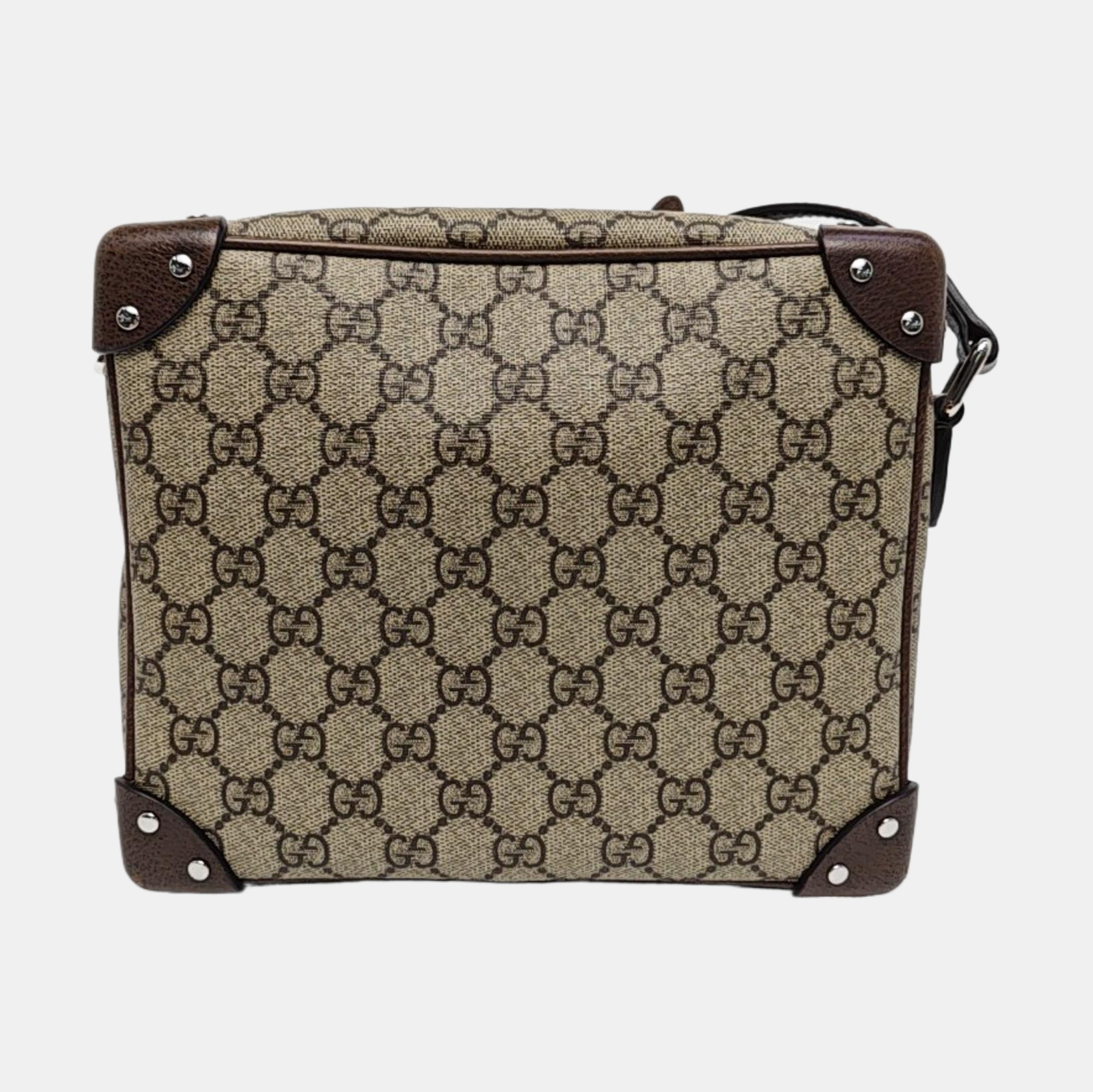Trunk Monogram Coated Canvas Brown