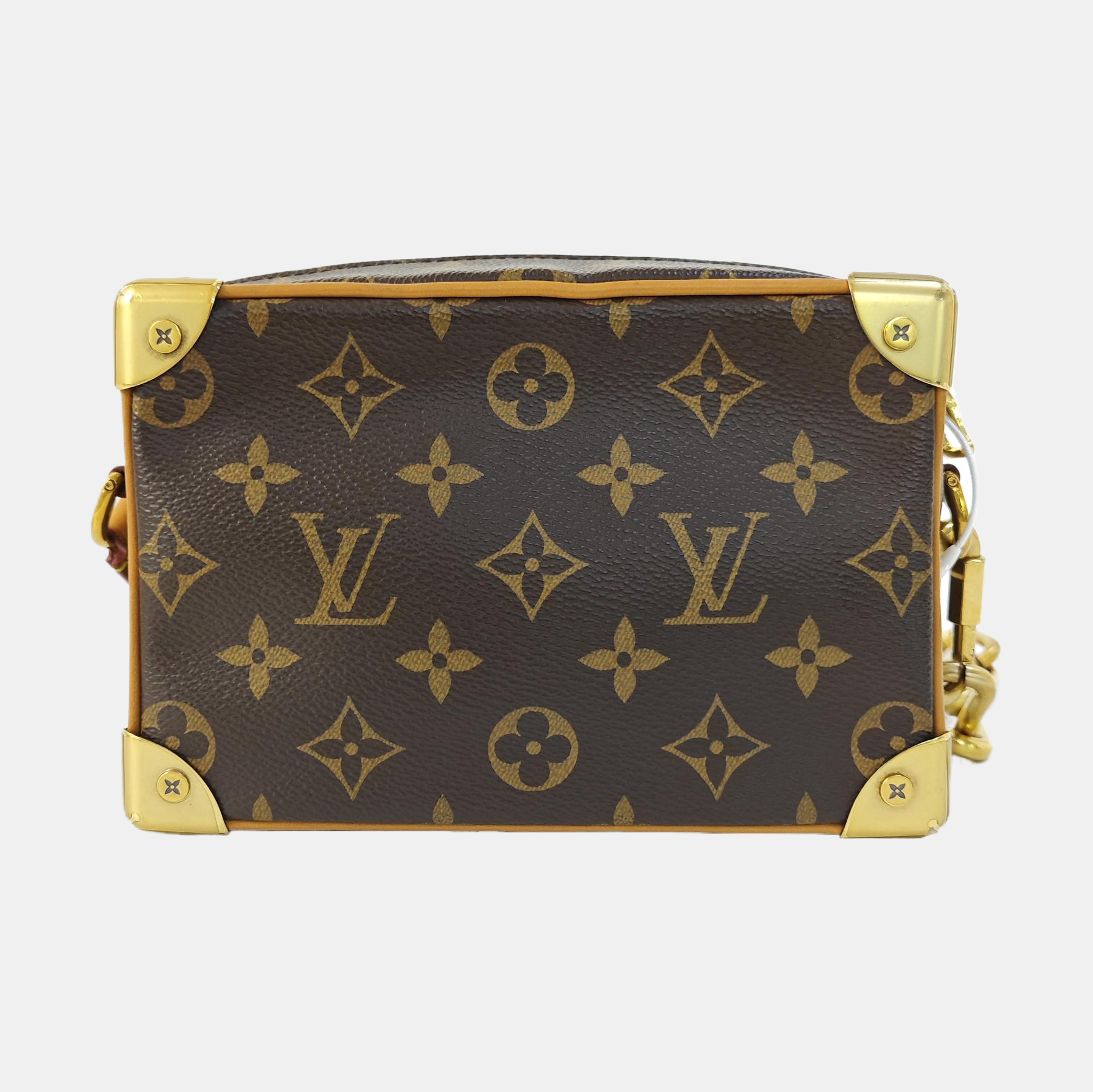 SOFT TRUNK Mini Monogram Coated Canvas Brown