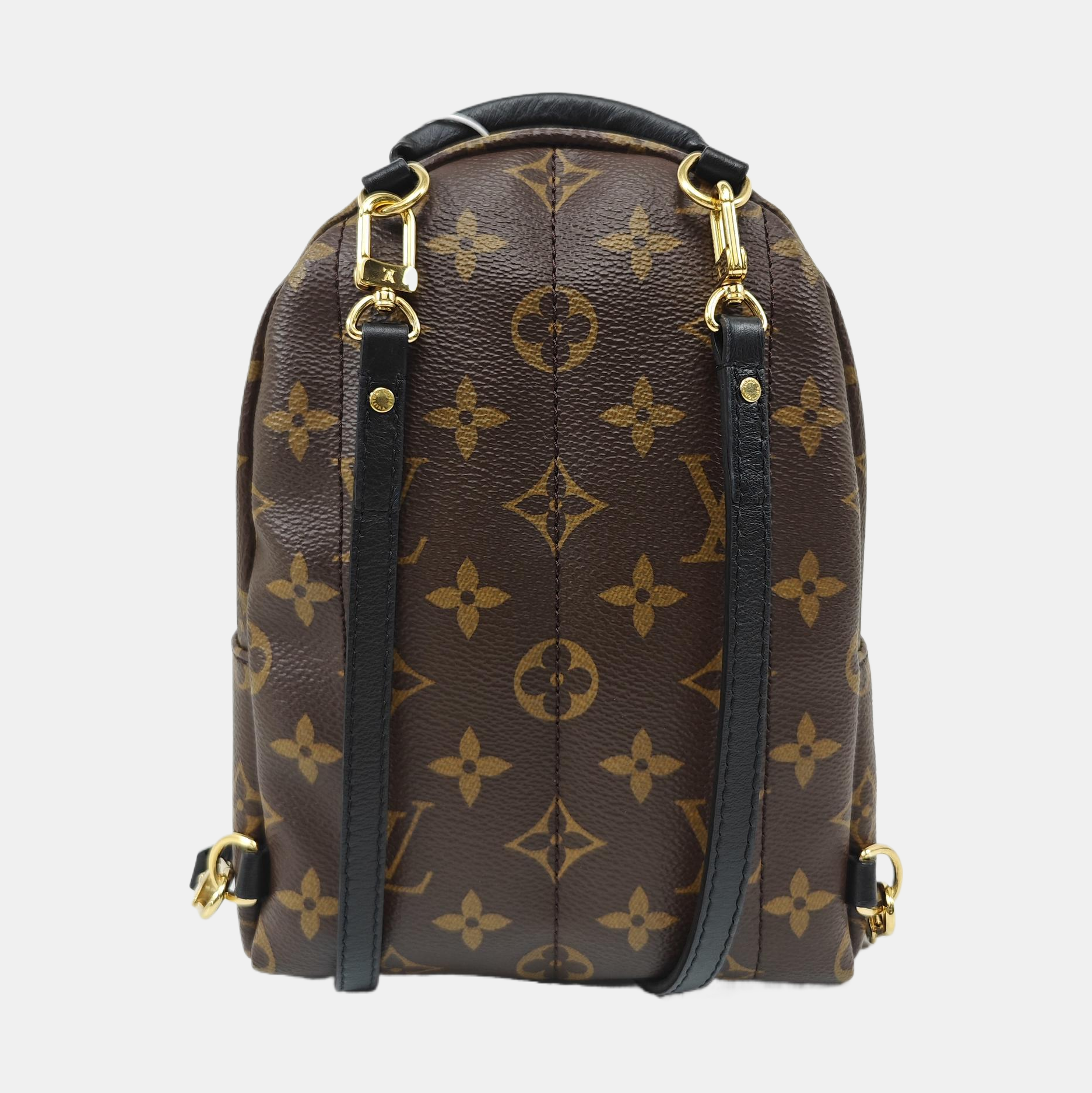PALM SPRINGS Mini Monogram Coated Canvas Brown