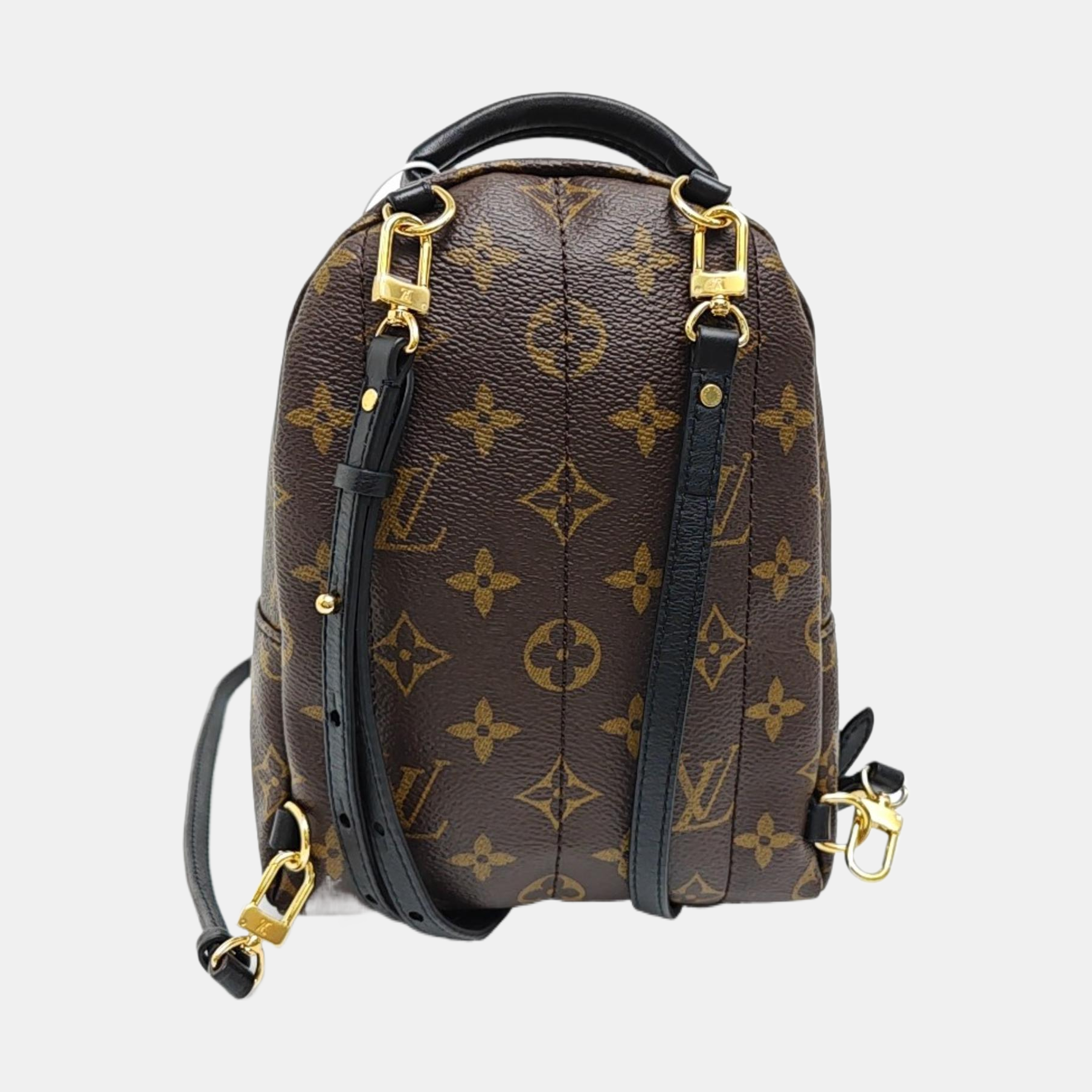 PALM SPRINGS Mini Monogram Coated Canvas Brown