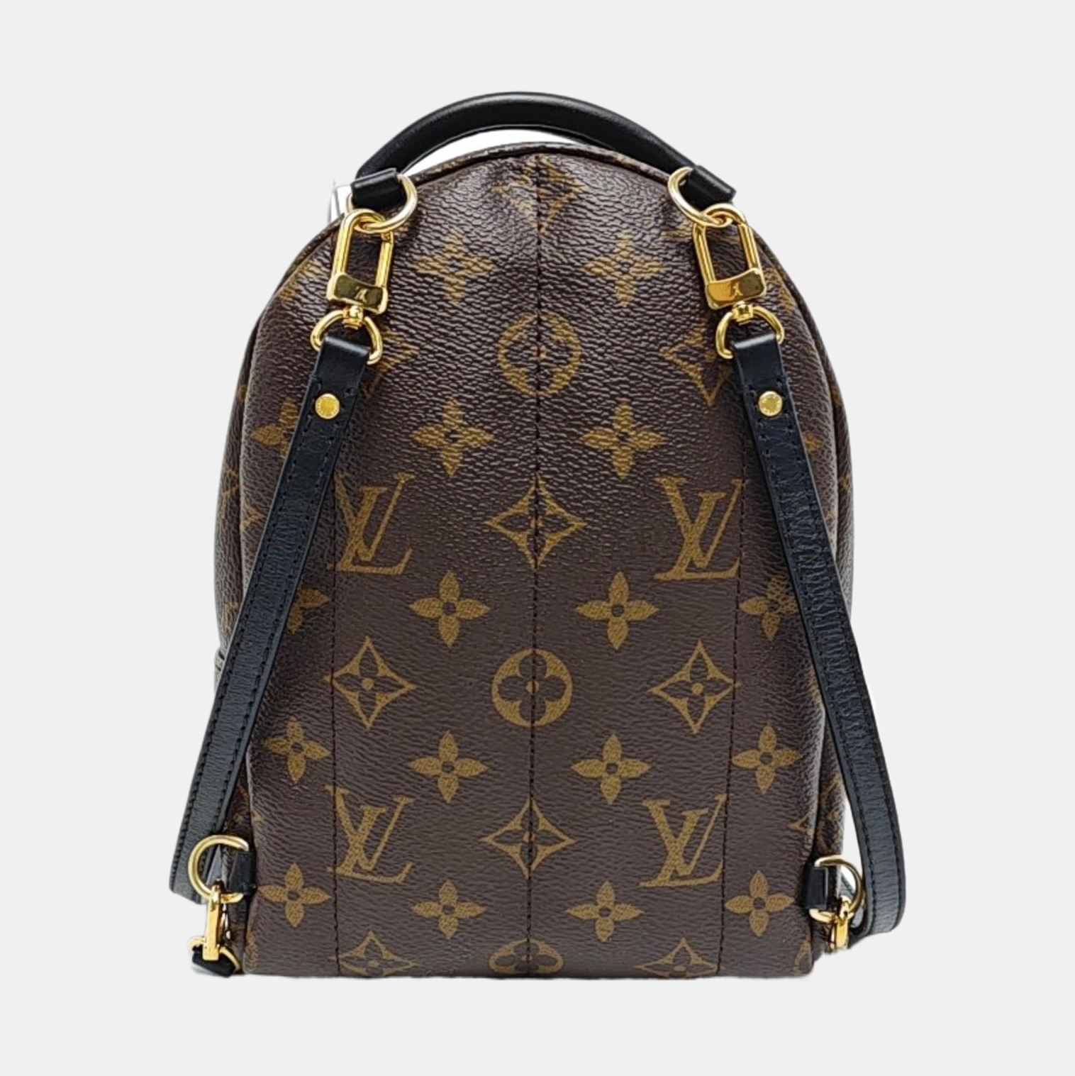PALM SPRINGS Mini Monogram Coated Canvas Brown