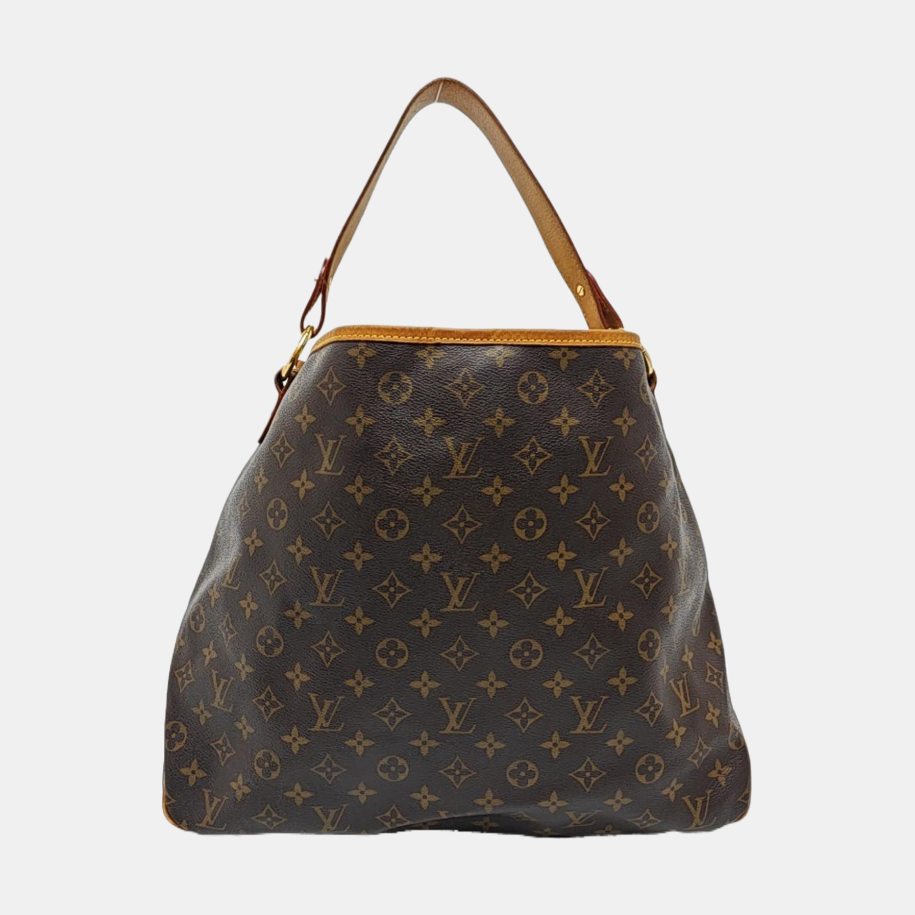 DELIGHTFUL Monogram Coated Canvas Brown