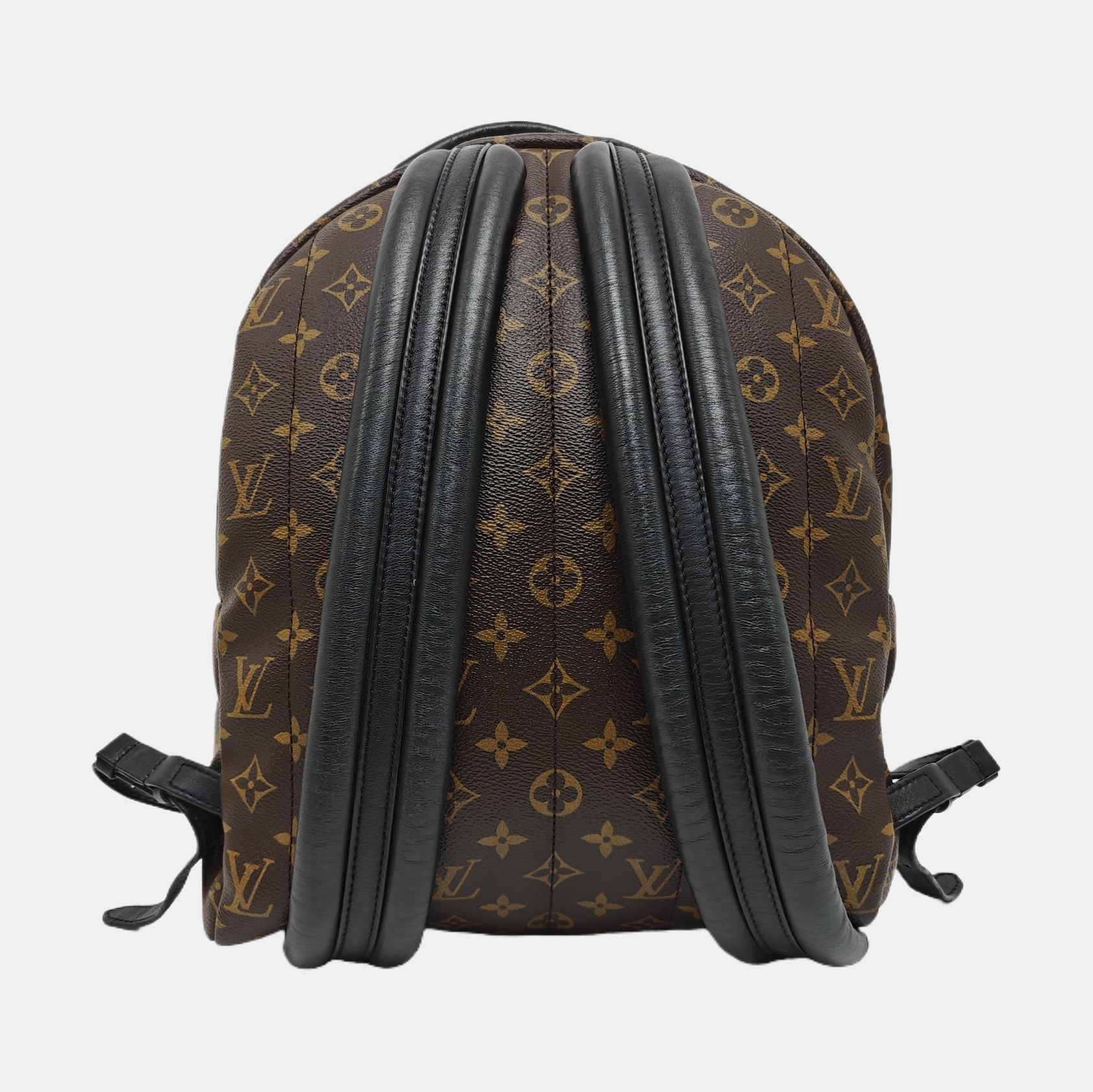 PALM SPRINGS MM Monogram Coated Canvas Brown