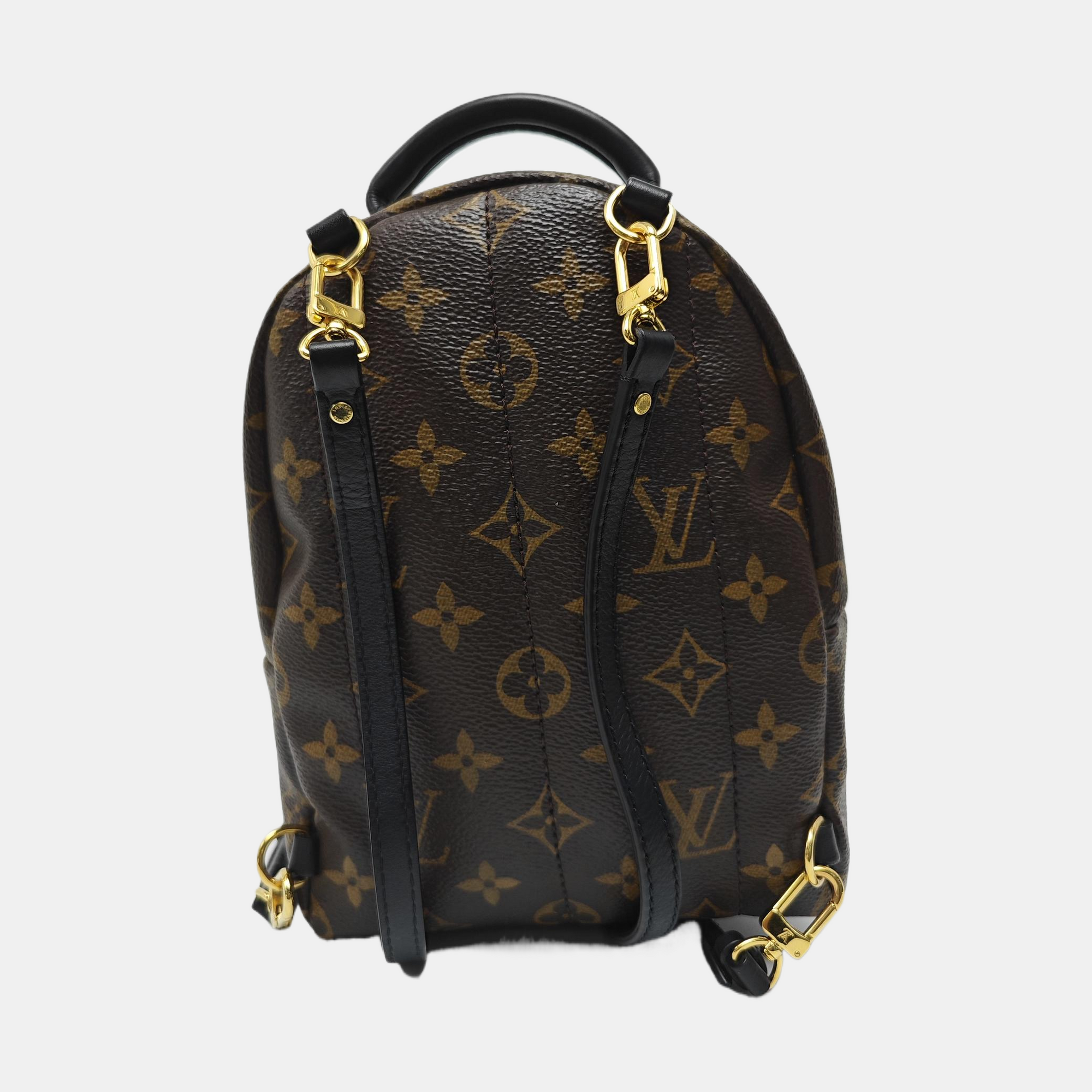 PALM SPRINGS Mini Monogram Coated Canvas Brown