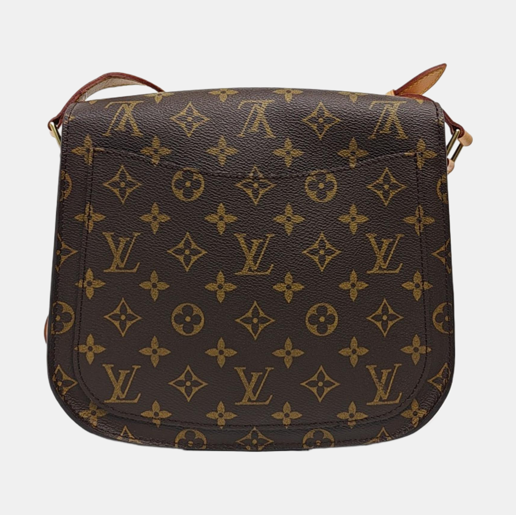 SAINT CLOUD GM Monogram Coated Canvas Brown