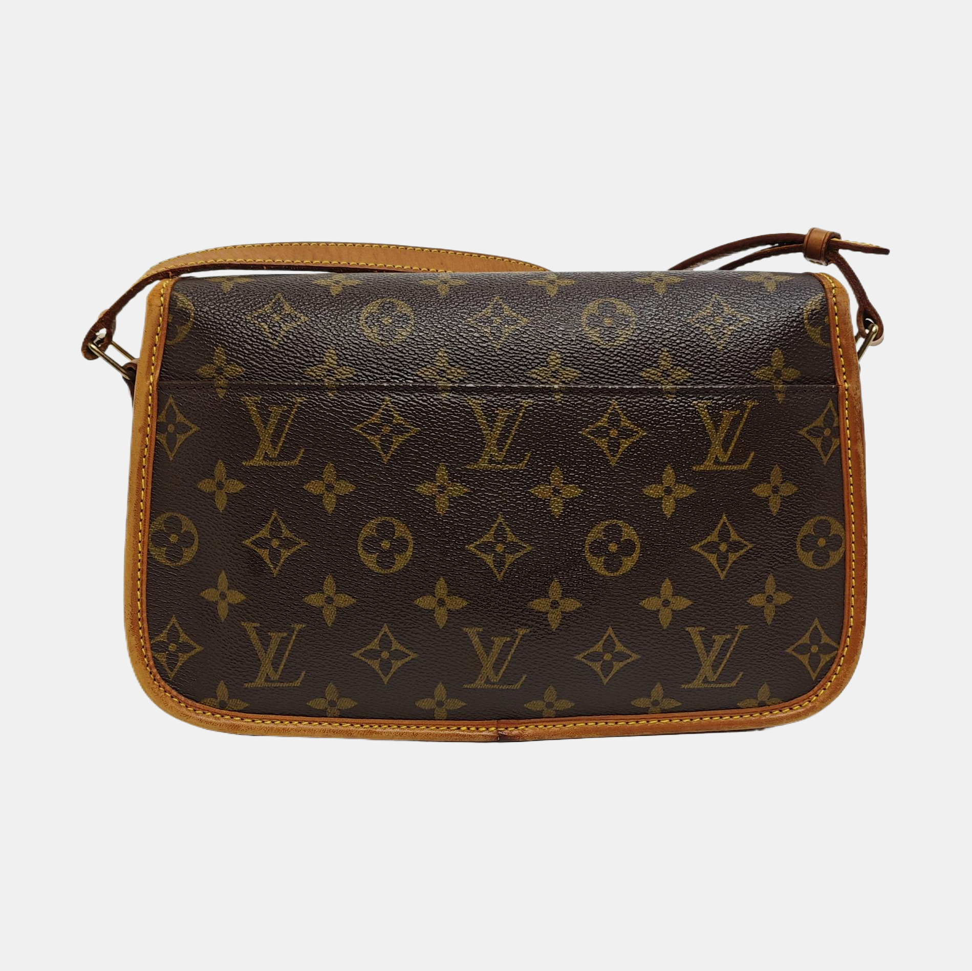 SOLOGNE PM Monogram Coated Canvas Brown