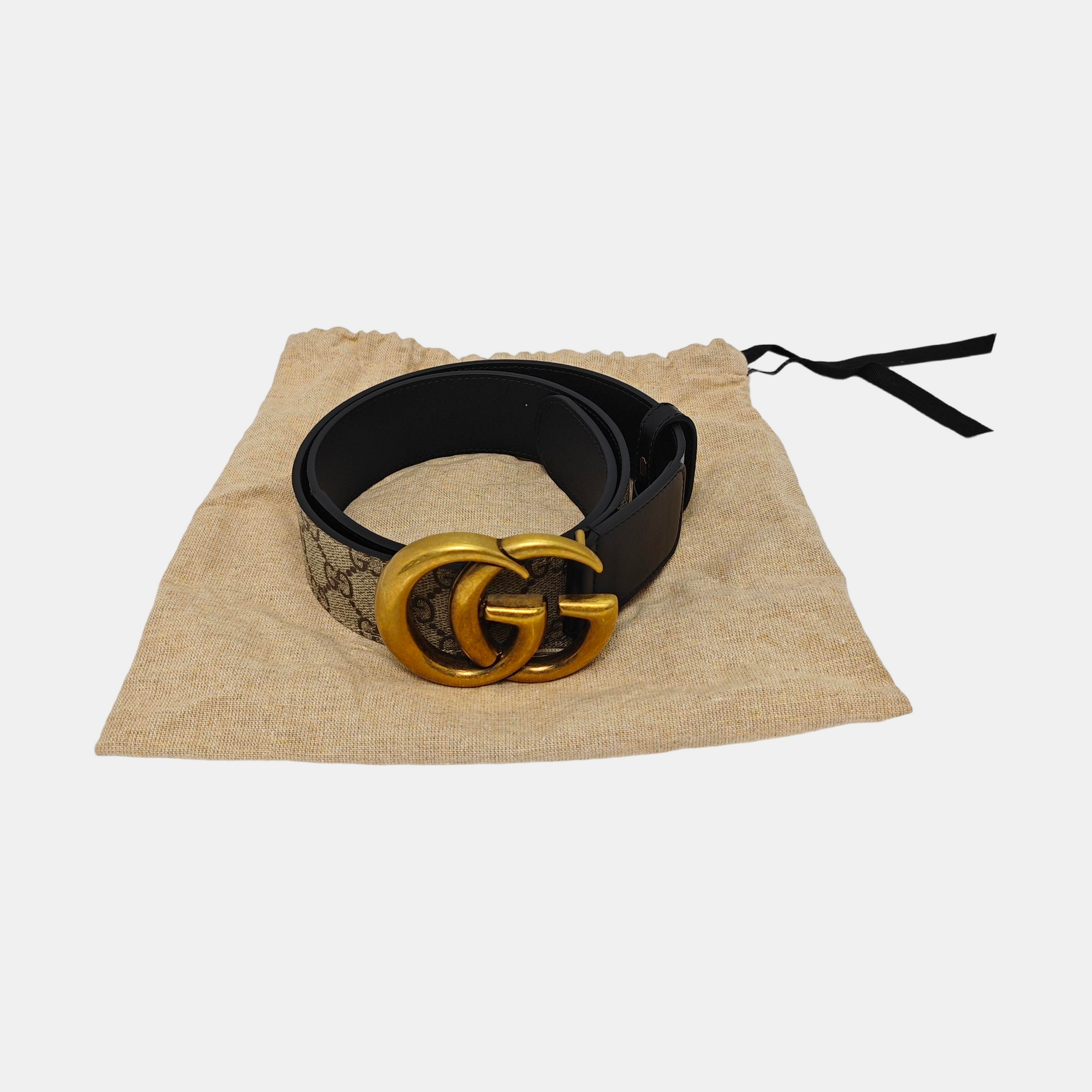 Coated Canvas Belt Beige