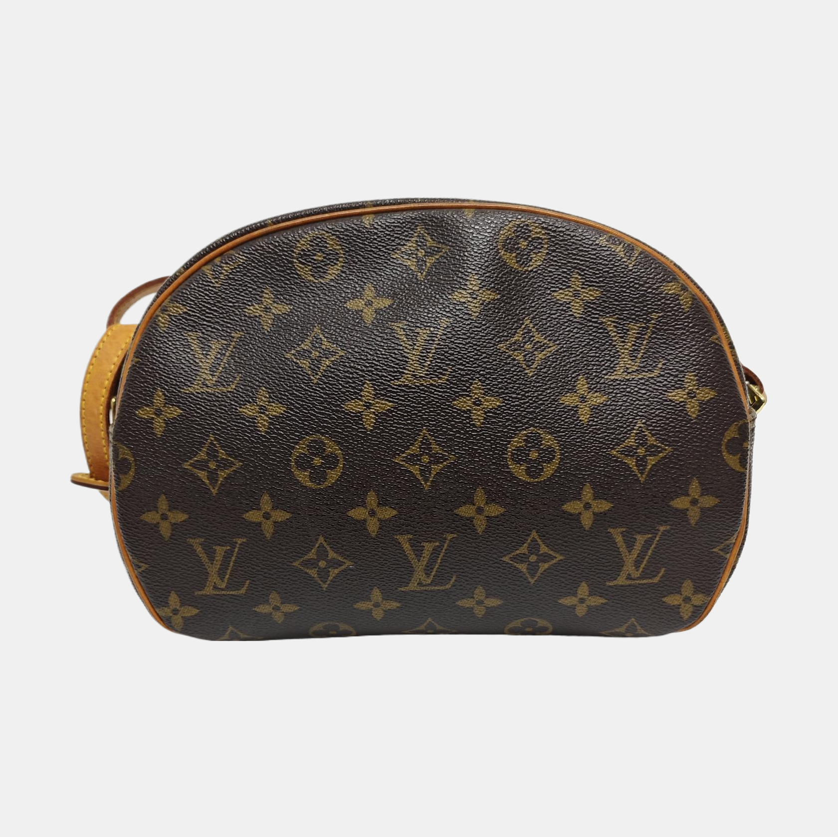 BLOIS PM Monogram Coated Canvas Brown