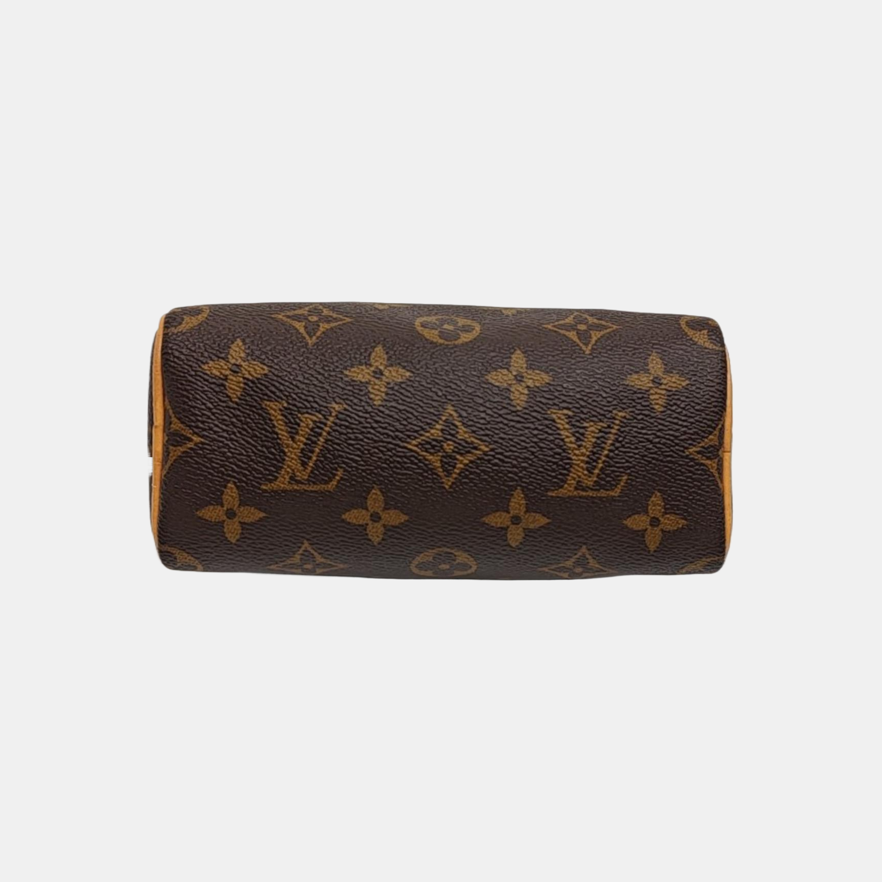 SPEEDY Nano Monogram Coated Canvas Brown