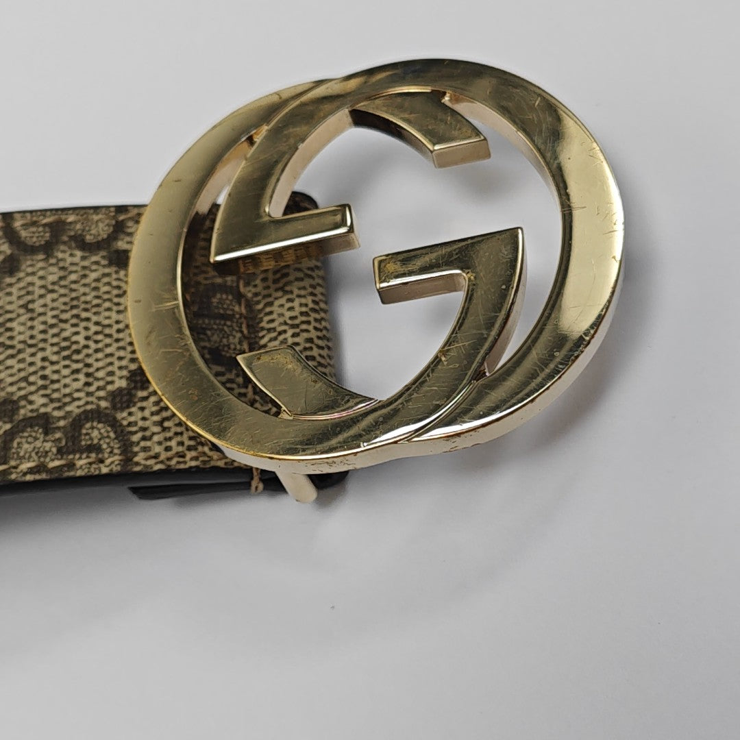Coated Canvas Belt Beige