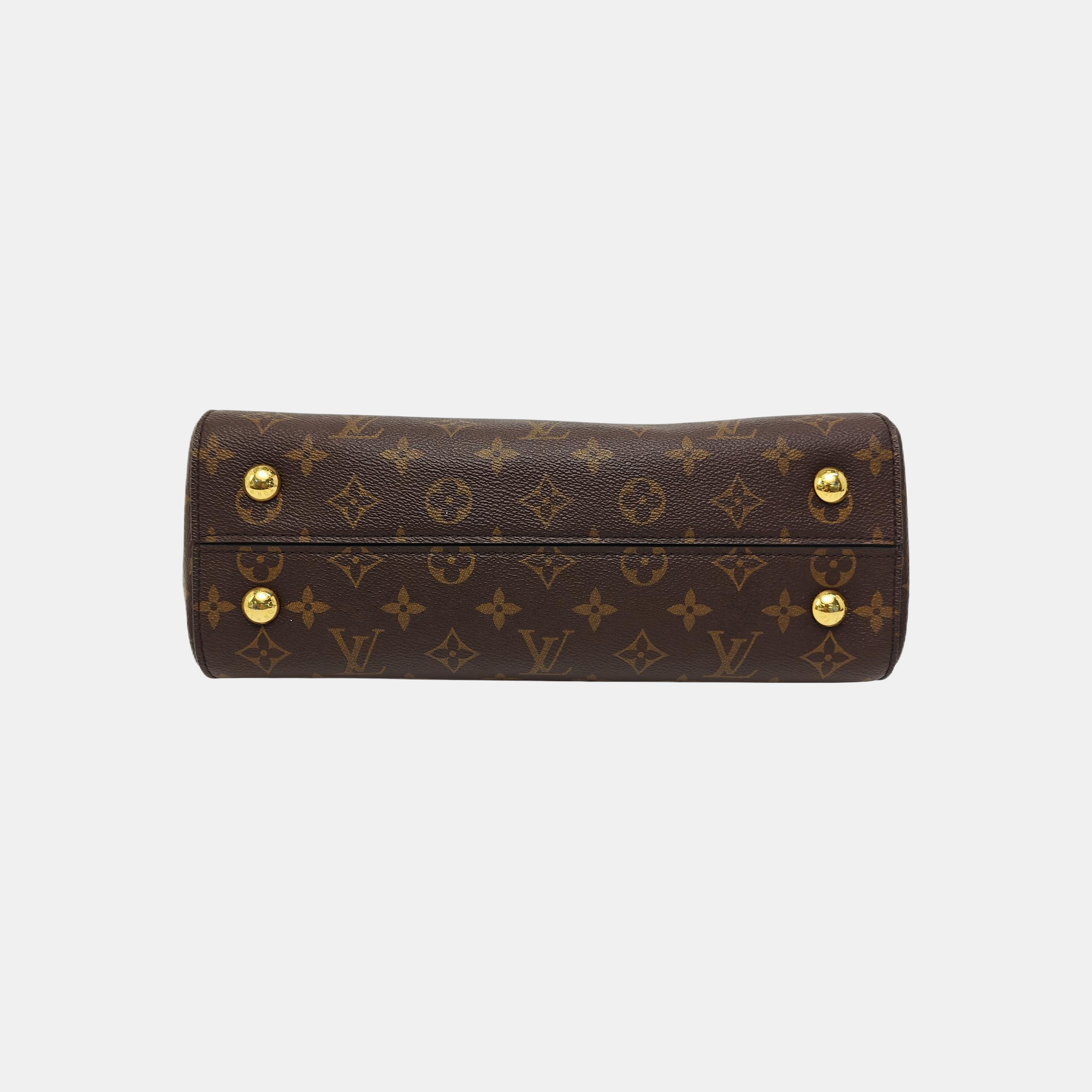 CLUNY MM Monogram Coated Canvas Brown