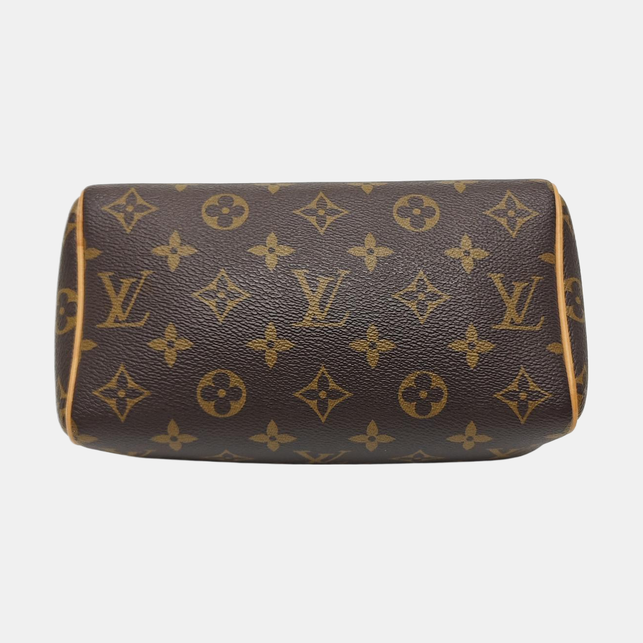 SPEEDY 20 Monogram Coated Canvas Brown
