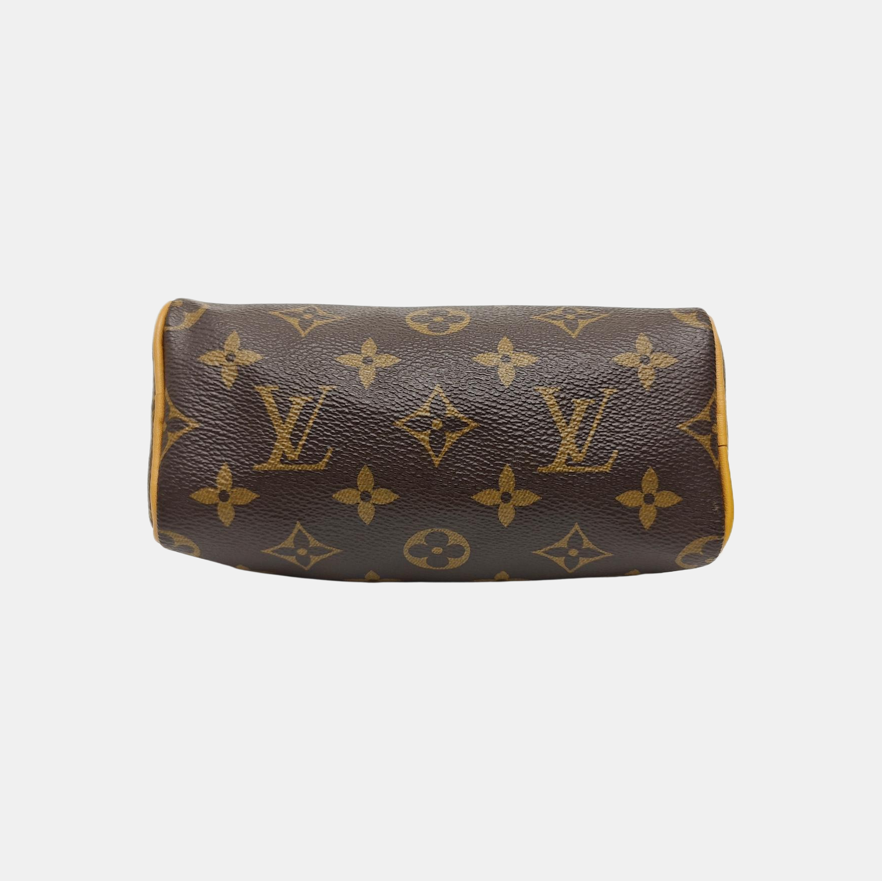 SPEEDY Nano Monogram Coated Canvas Brown
