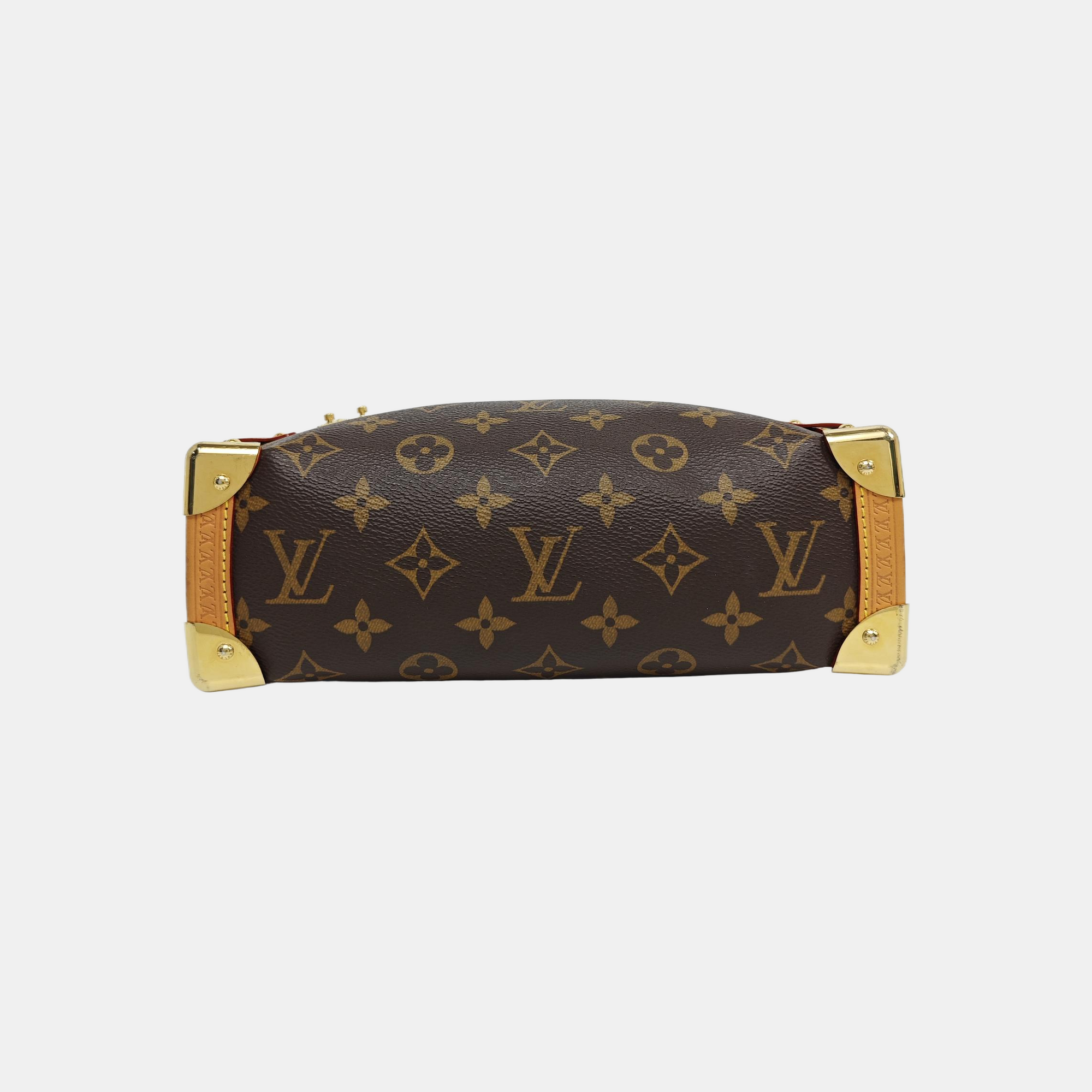 SIDE TRUNK MM Monogram Coated Canvas Brown