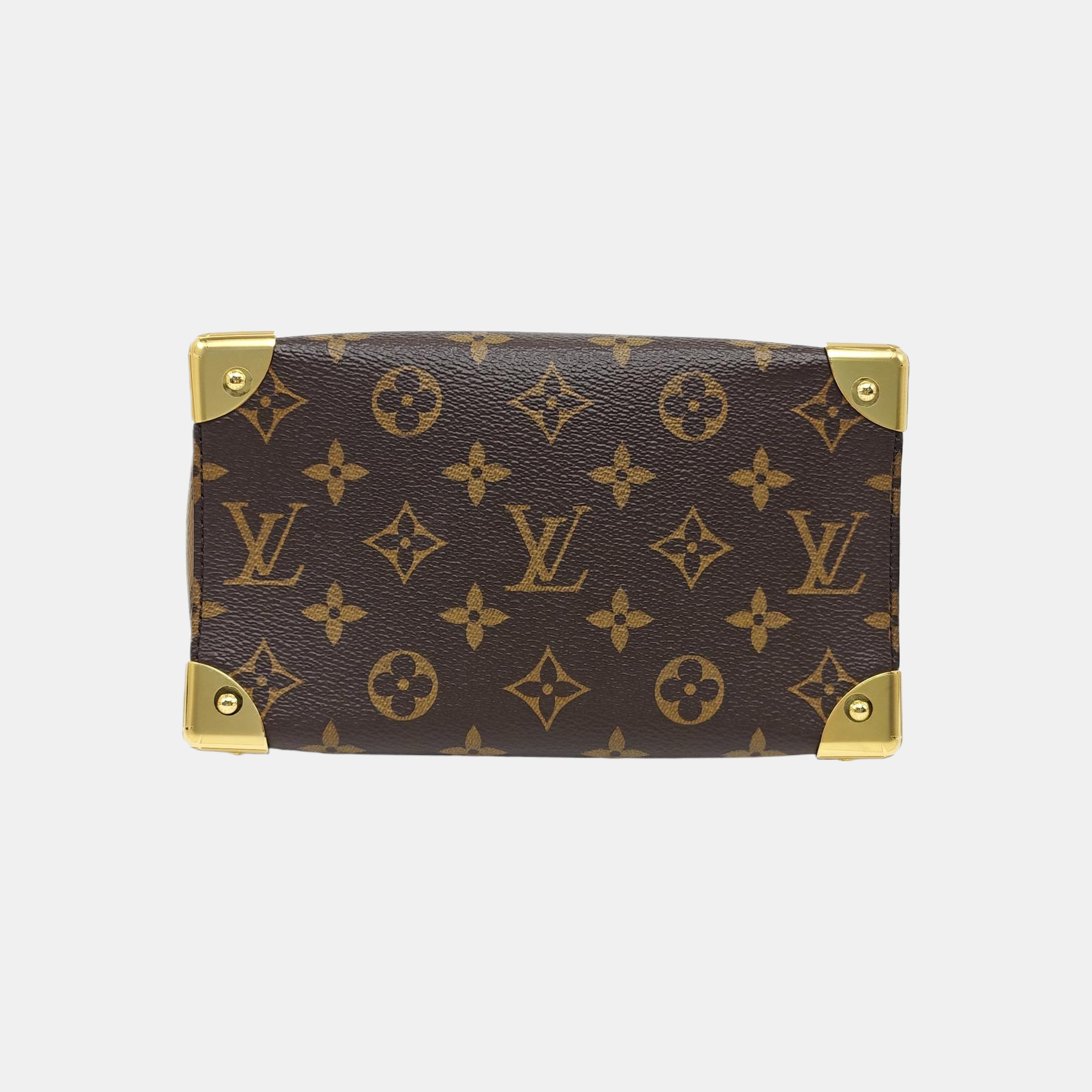 SPEEDY TRUNK 20 Monogram Coated Canvas Brown