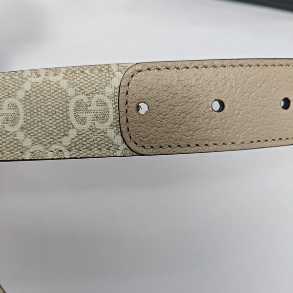 Coated Canvas Belt Gray