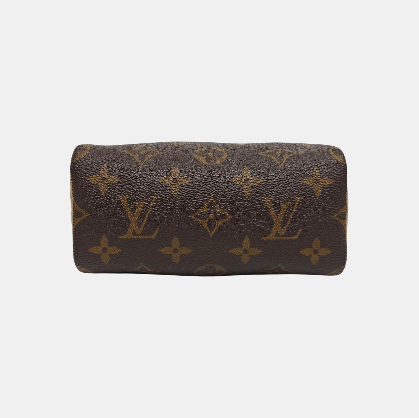 SPEEDY Nano Monogram Coated Canvas Brown