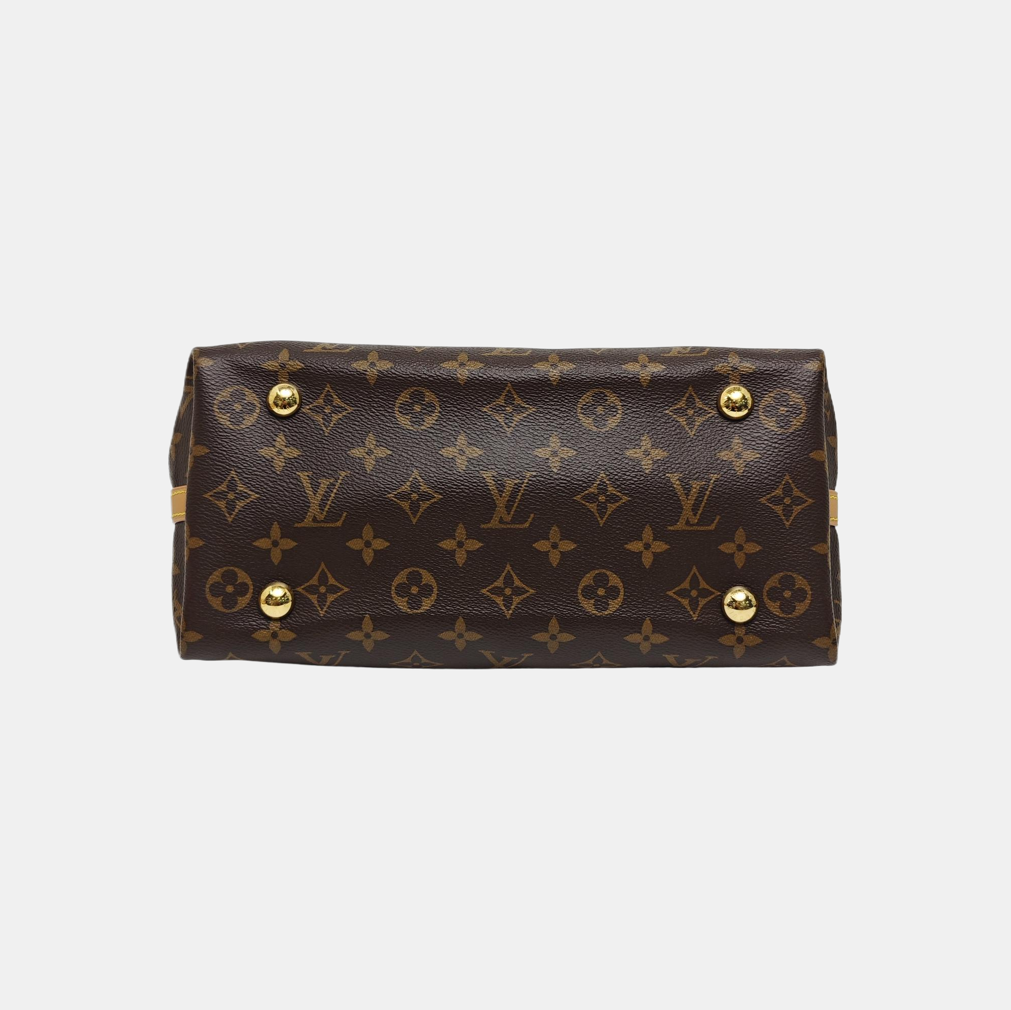 CARRYALL PM Monogram Coated Canvas Brown