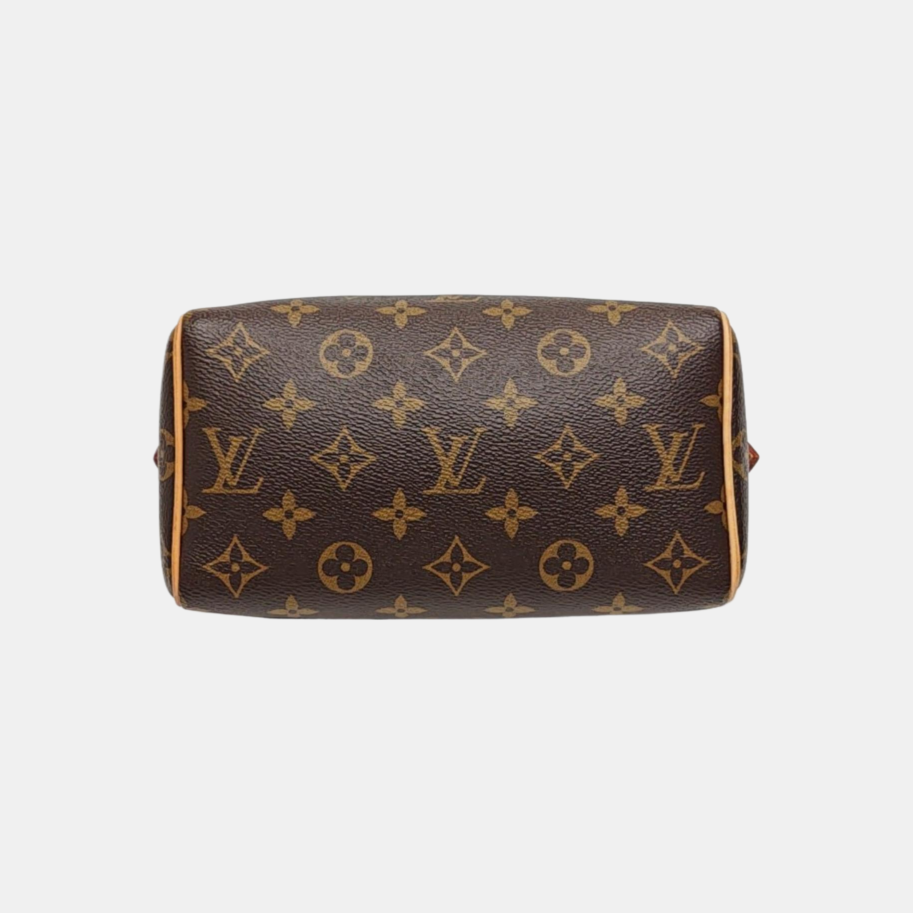 SPEEDY 20 Monogram Coated Canvas Brown