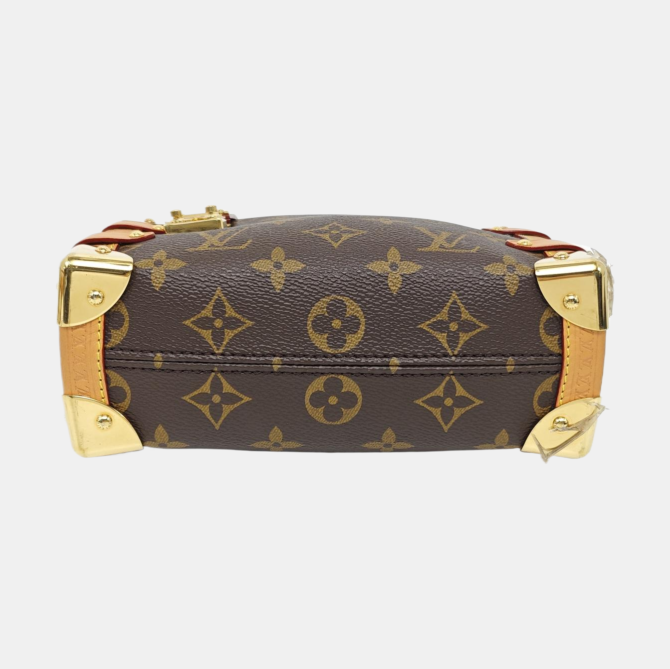 SIDE TRUNK PM Monogram Coated Canvas Brown