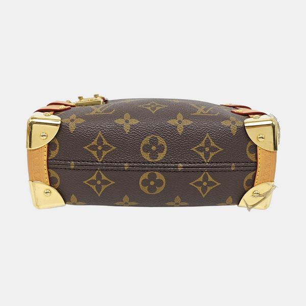SIDE TRUNK PM Monogram Coated Canvas Brown