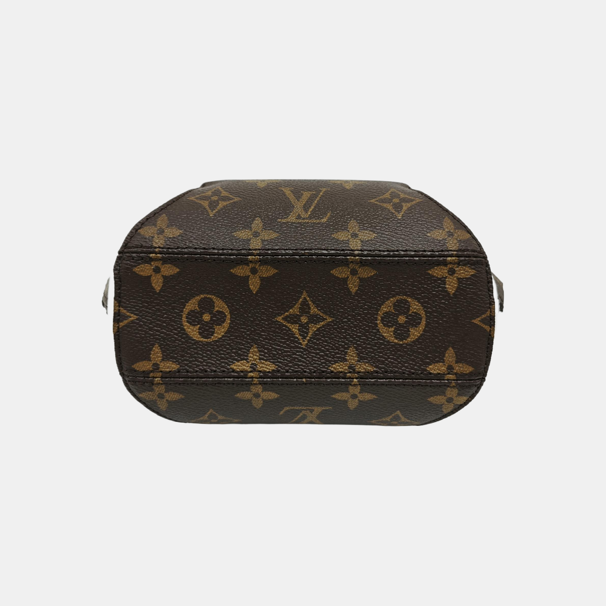 ELLIPSE Monogram Coated Canvas Brown