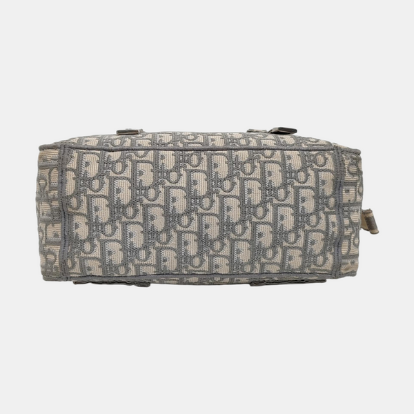 Diorcamp Large Oblique Canvas Gray