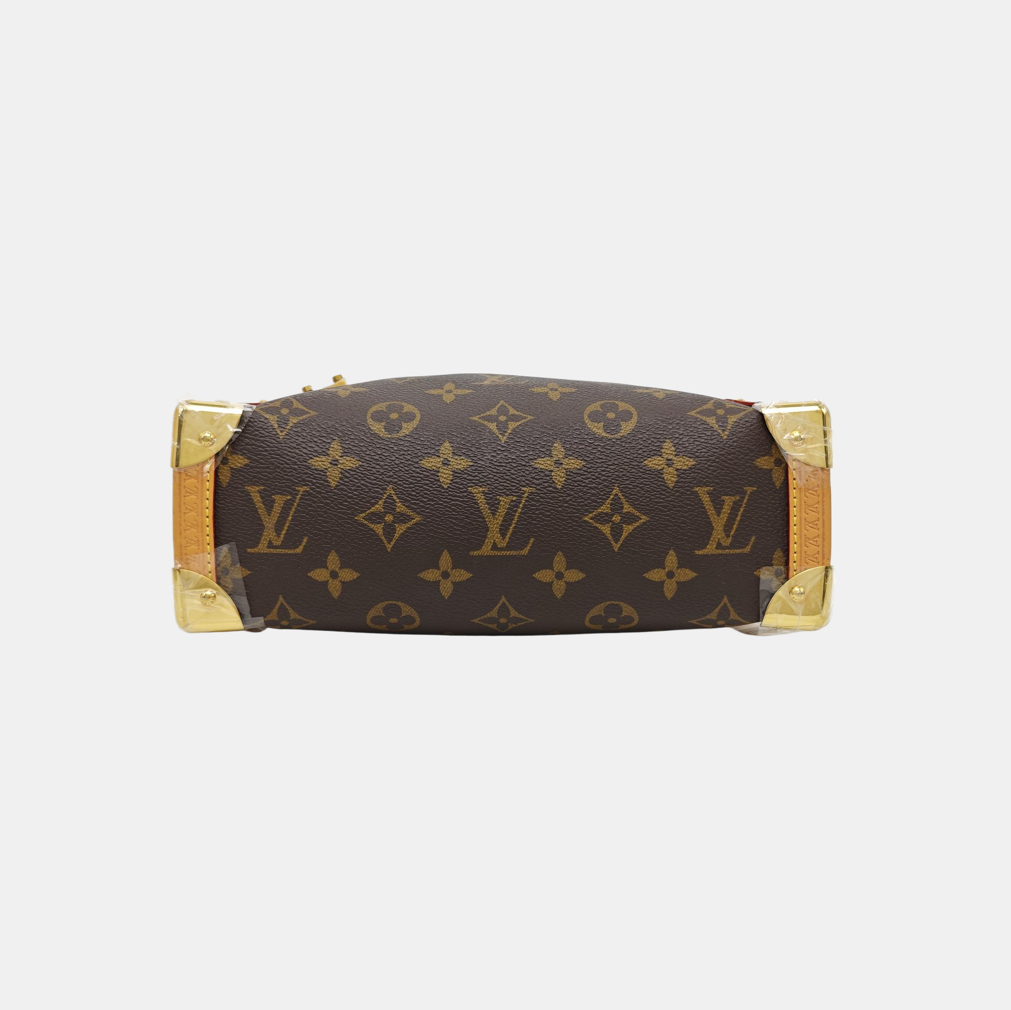 SIDE TRUNK MM Monogram Coated Canvas Brown