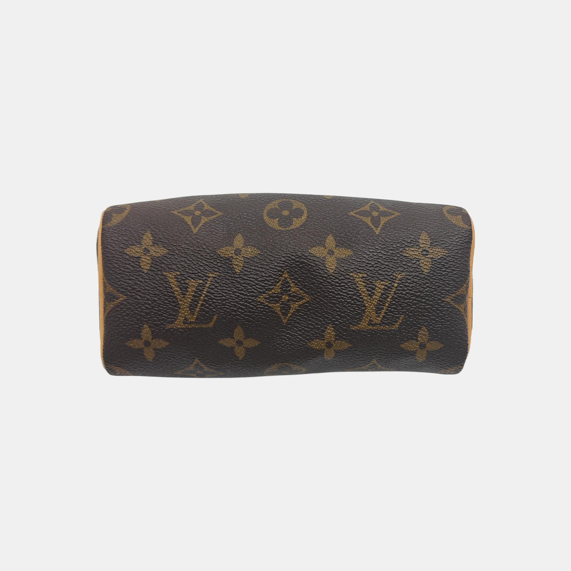 SPEEDY Nano Monogram Coated Canvas Brown