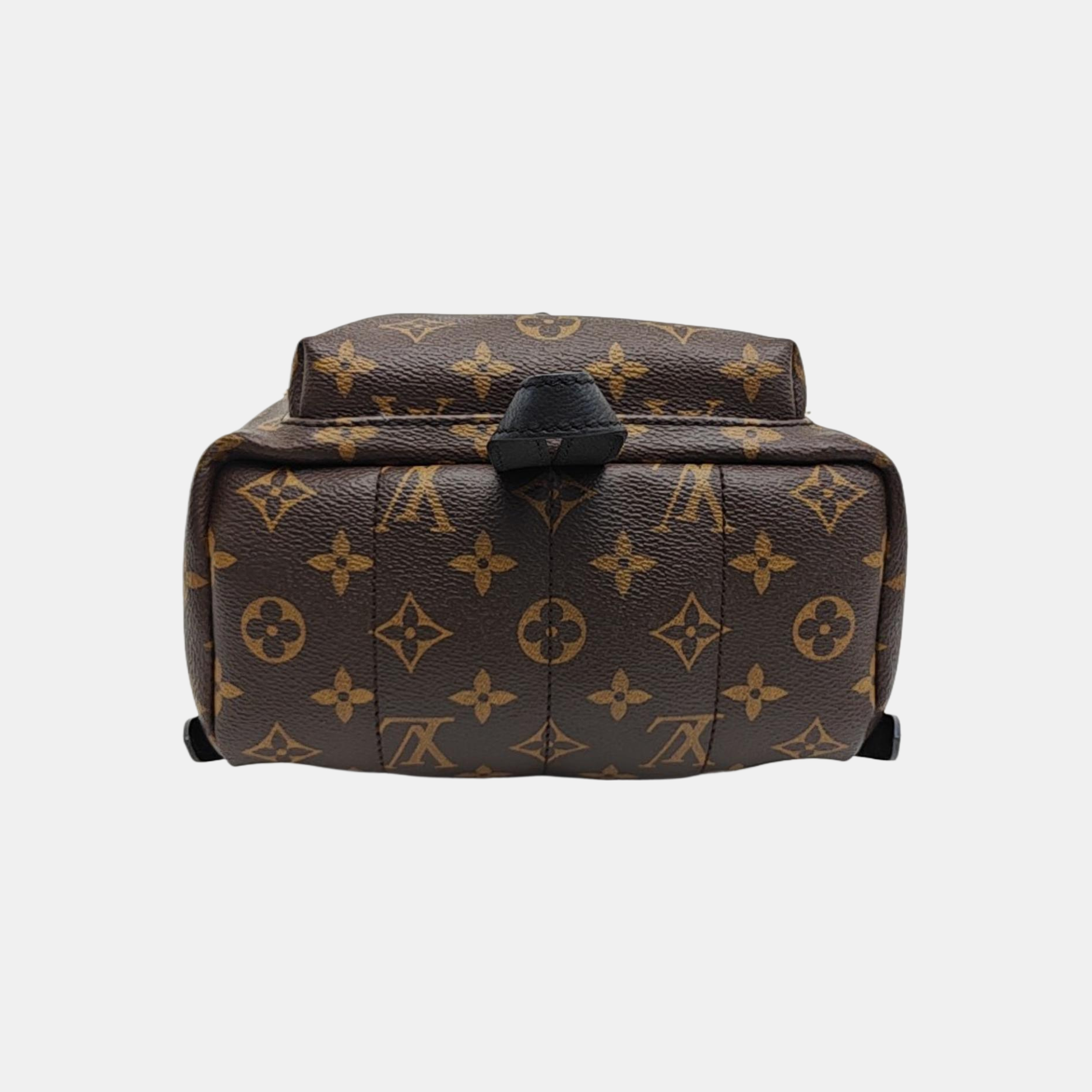 PALM SPRINGS PM Monogram Coated Canvas Brown