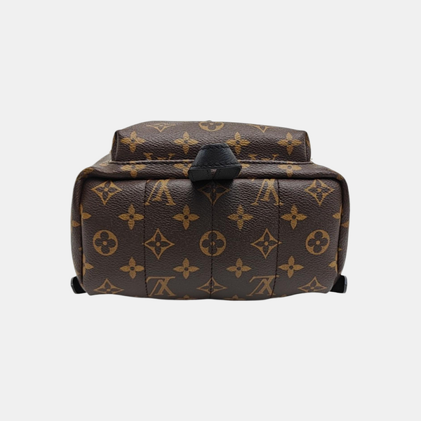 PALM SPRINGS PM Monogram Coated Canvas Brown