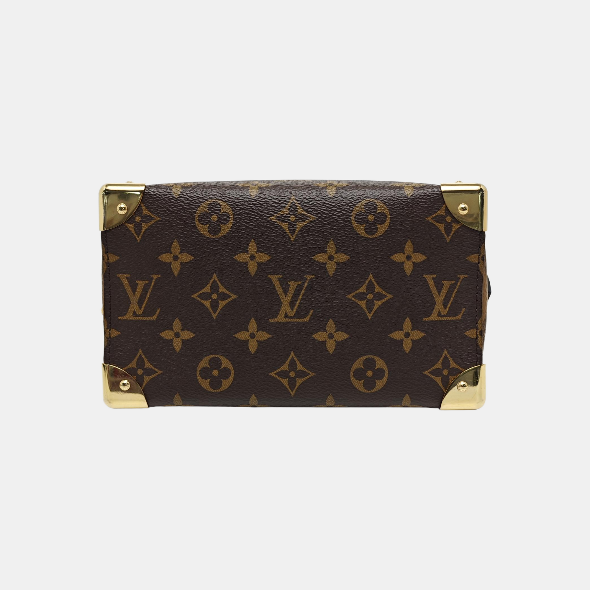SPEEDY TRUNK 20 Monogram Coated Canvas Brown