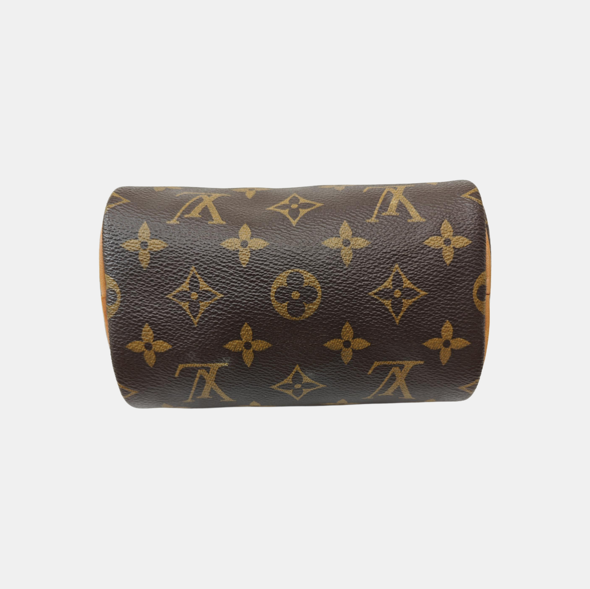 SPEEDY Nano Monogram Coated Canvas Brown
