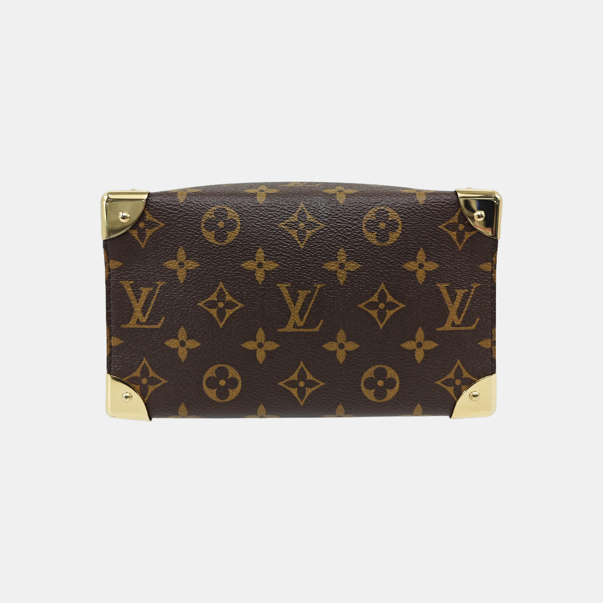 SPEEDY TRUNK 20 Monogram Coated Canvas Brown