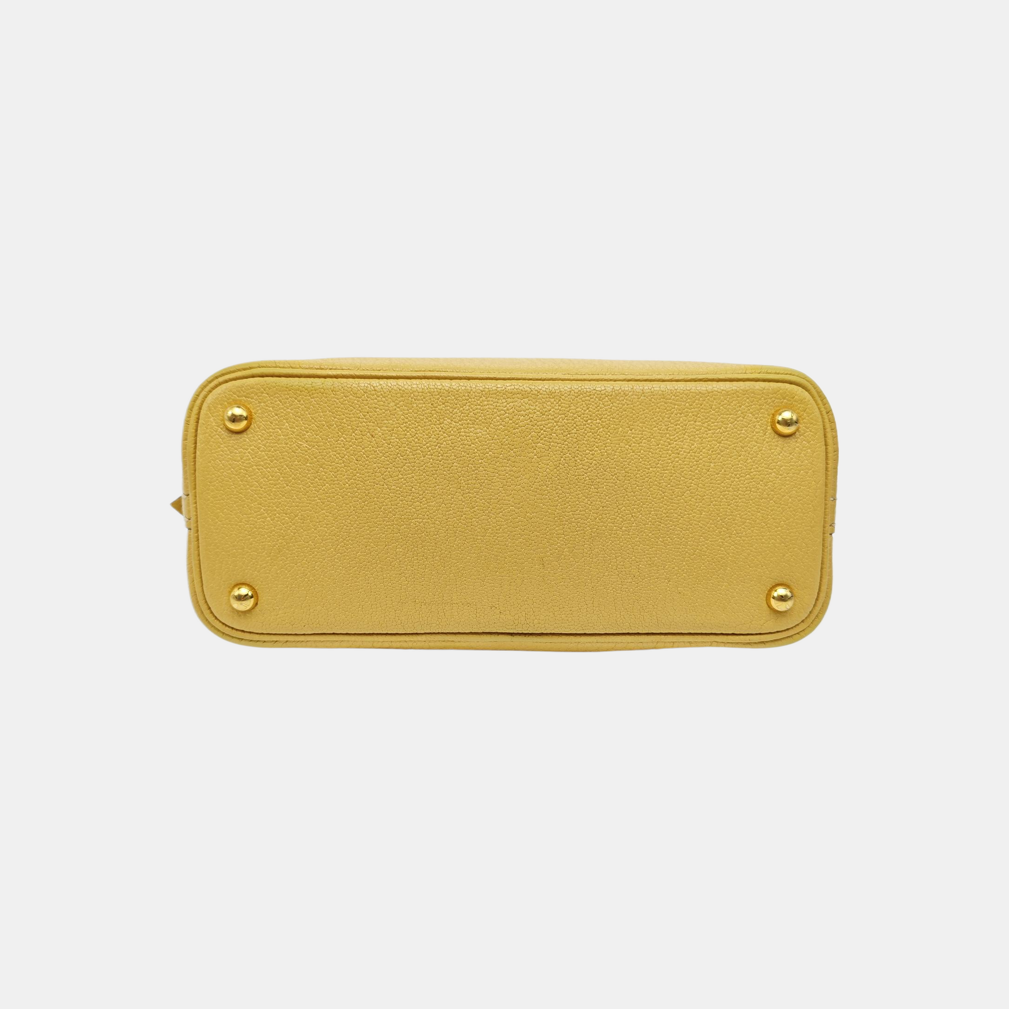 Bolide 18 Chèvre Mysore Yellow
