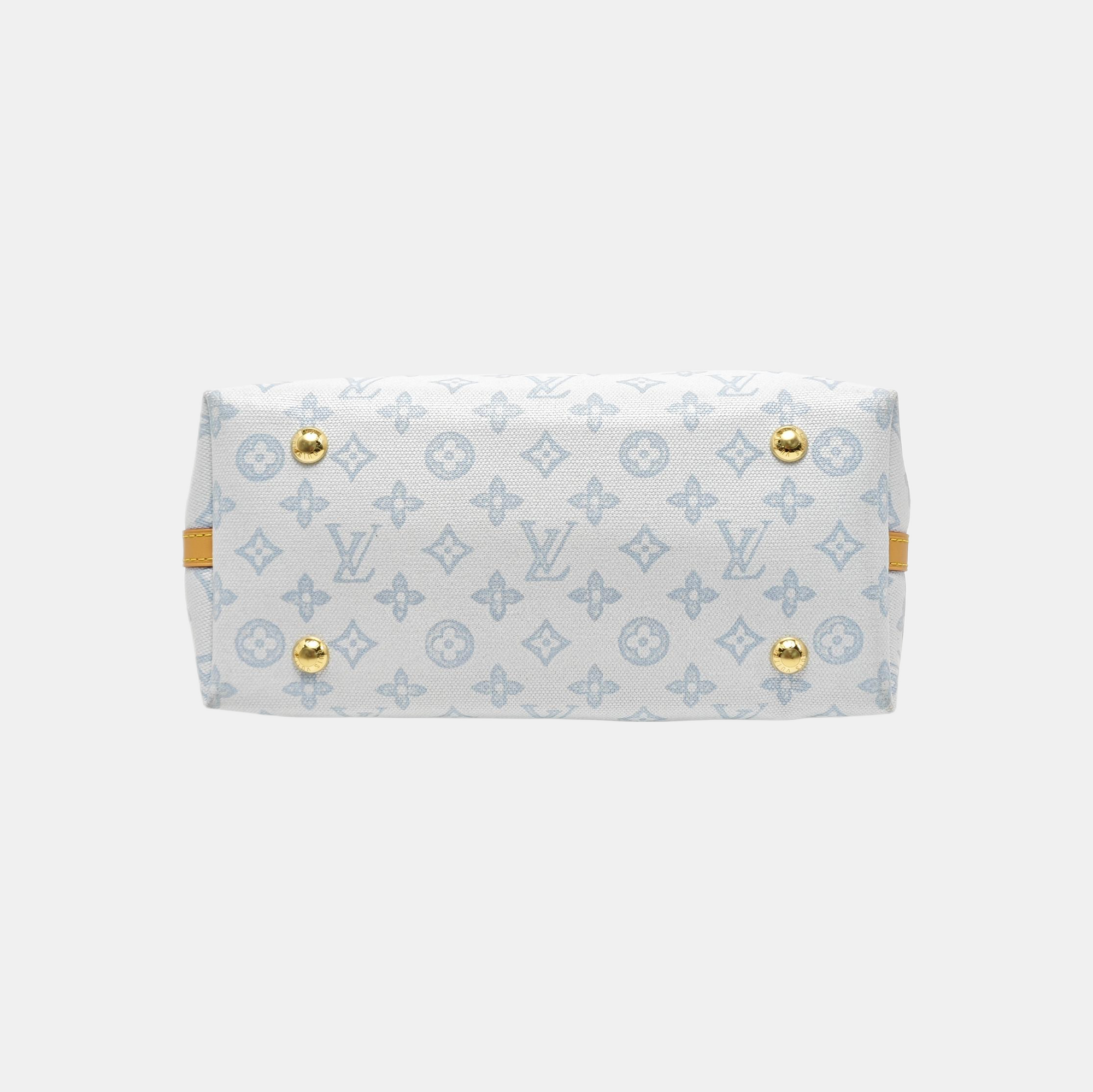 CARRYALL PM Monogram Coated Canvas Blue