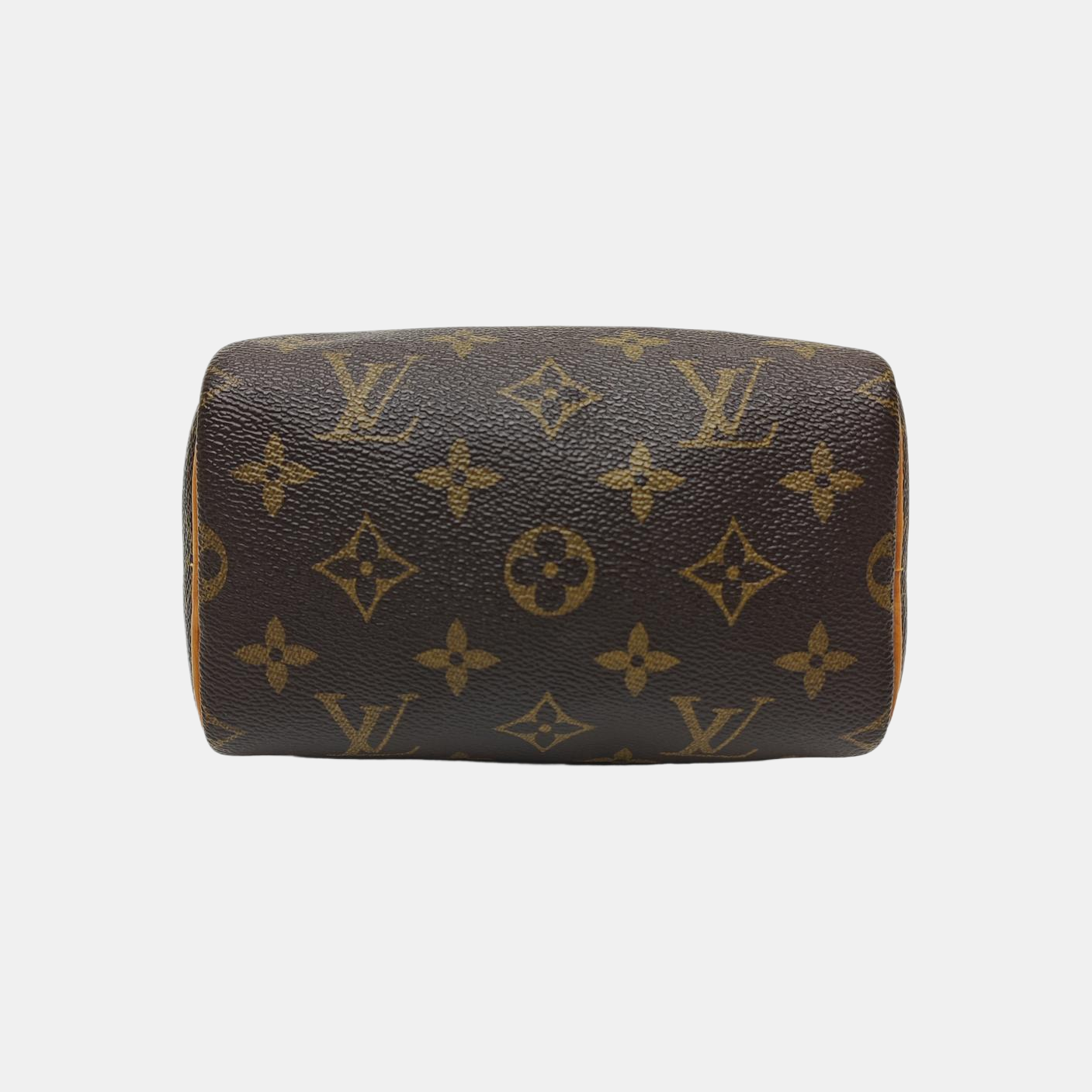 SPEEDY Nano Monogram Coated Canvas Brown