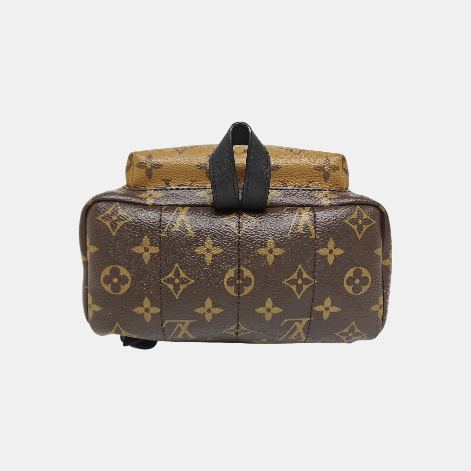 PALM SPRINGS PM Monogram Coated Canvas Brown