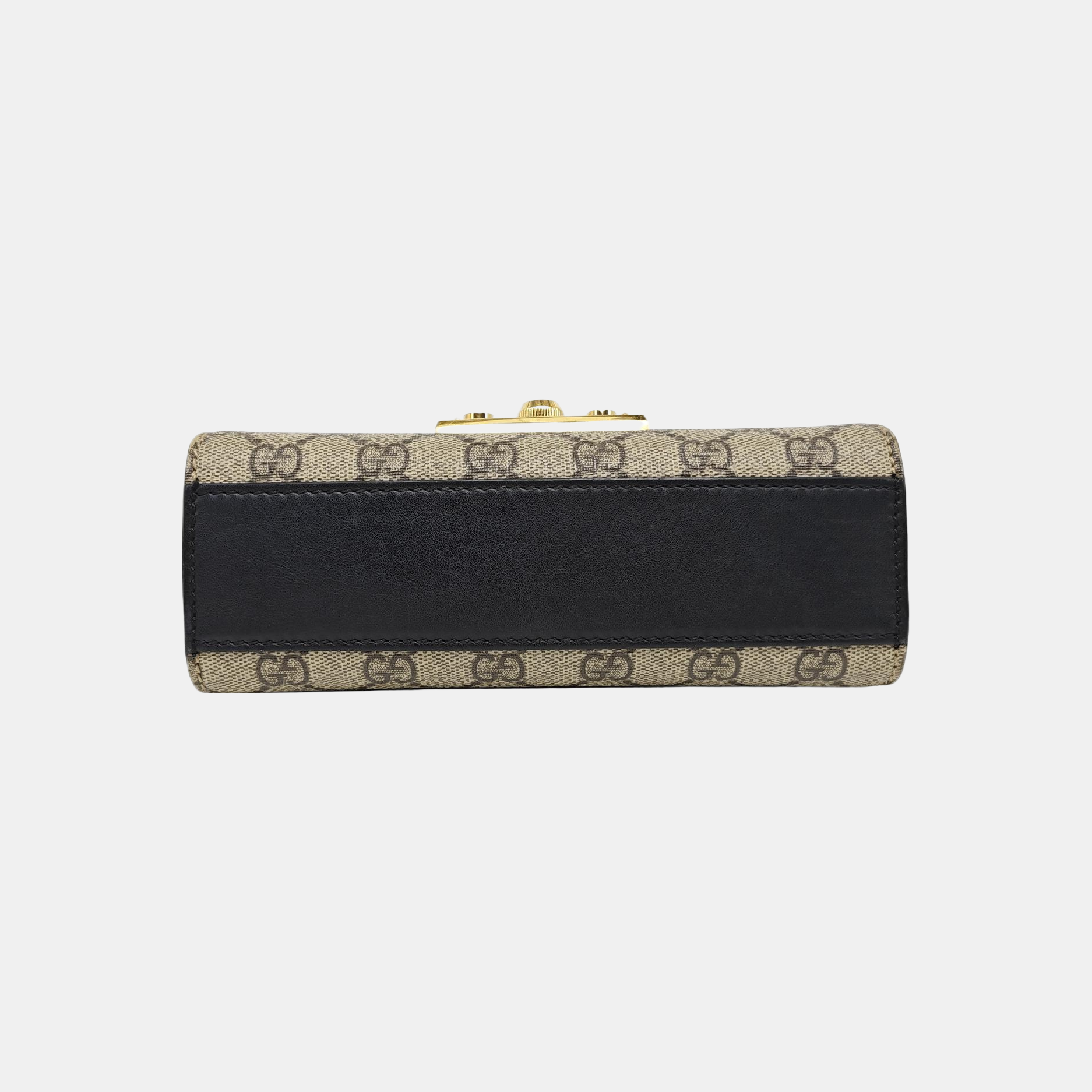 Padlock Small Monogram Coated Canvas Multicolor