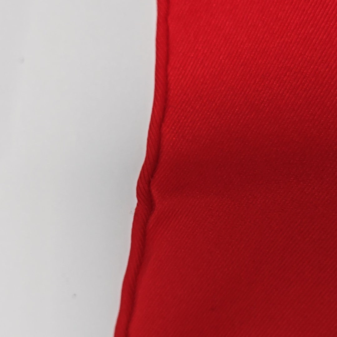 Mulberry Silk Silk Scarf Red