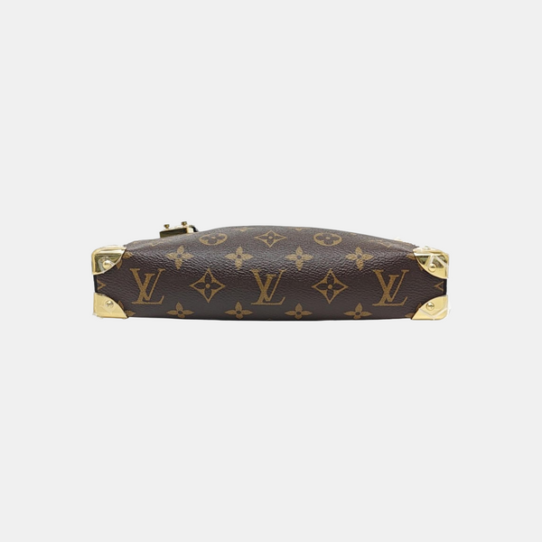 SLIM TRUNK Monogram Coated Canvas Brown