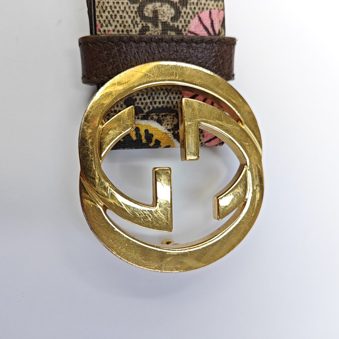 Coated Canvas Belt Brown