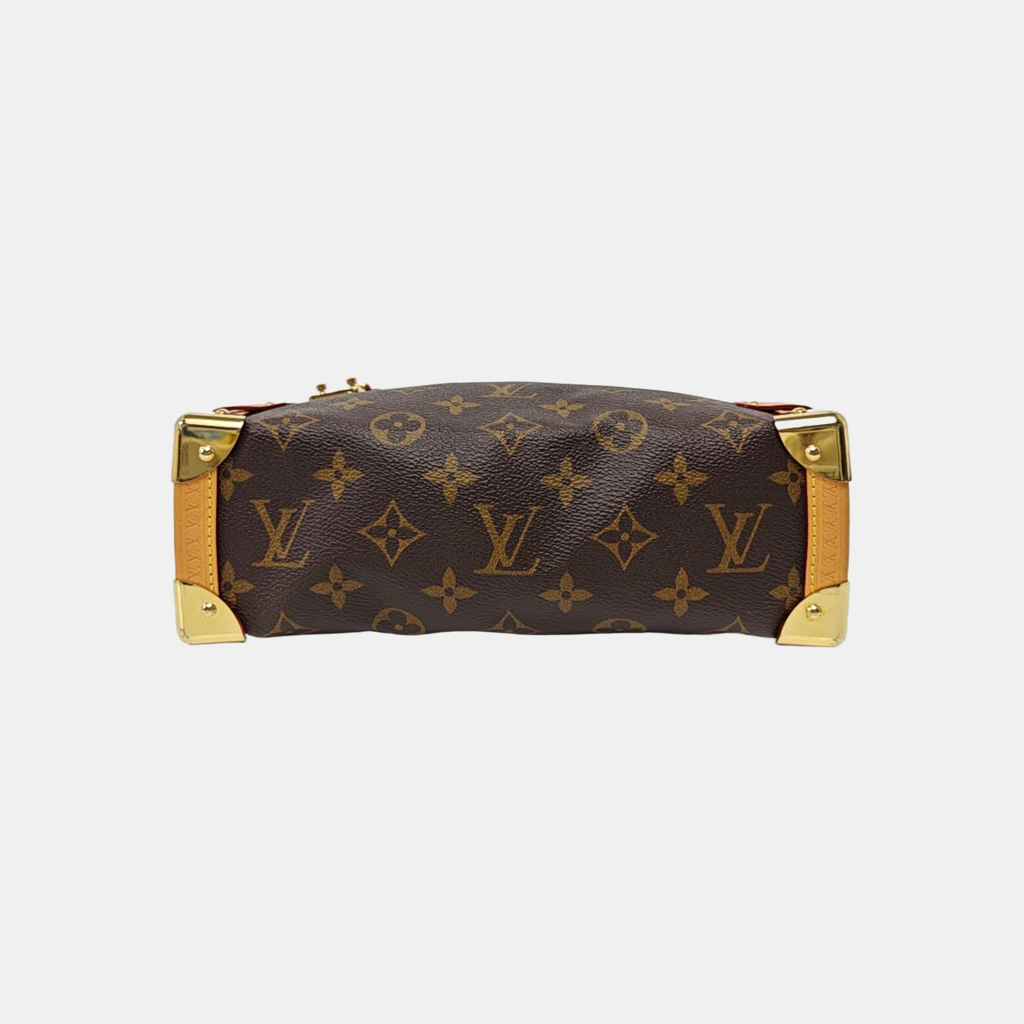 SIDE TRUNK MM Monogram Coated Canvas Brown