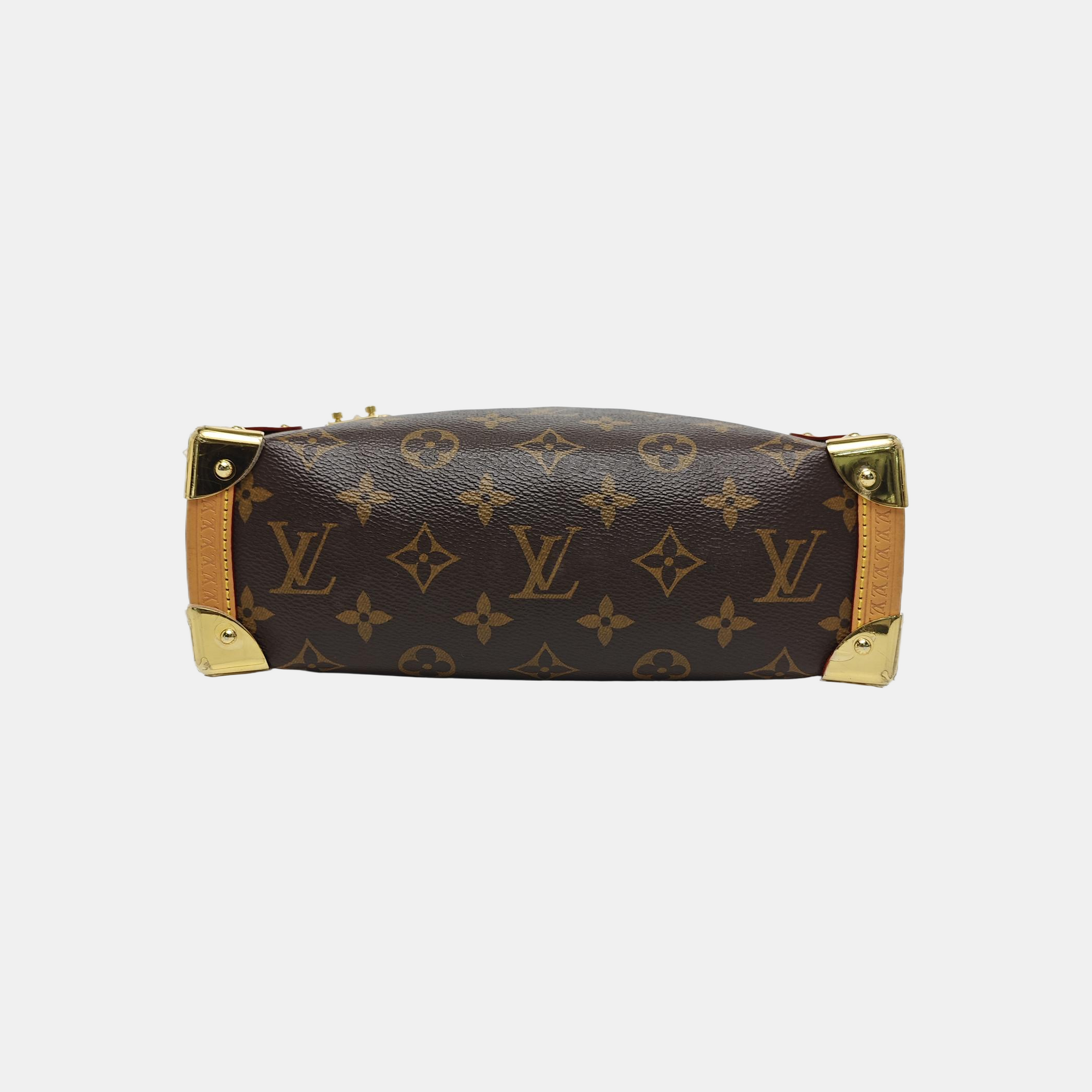 SIDE TRUNK MM Monogram Coated Canvas Brown