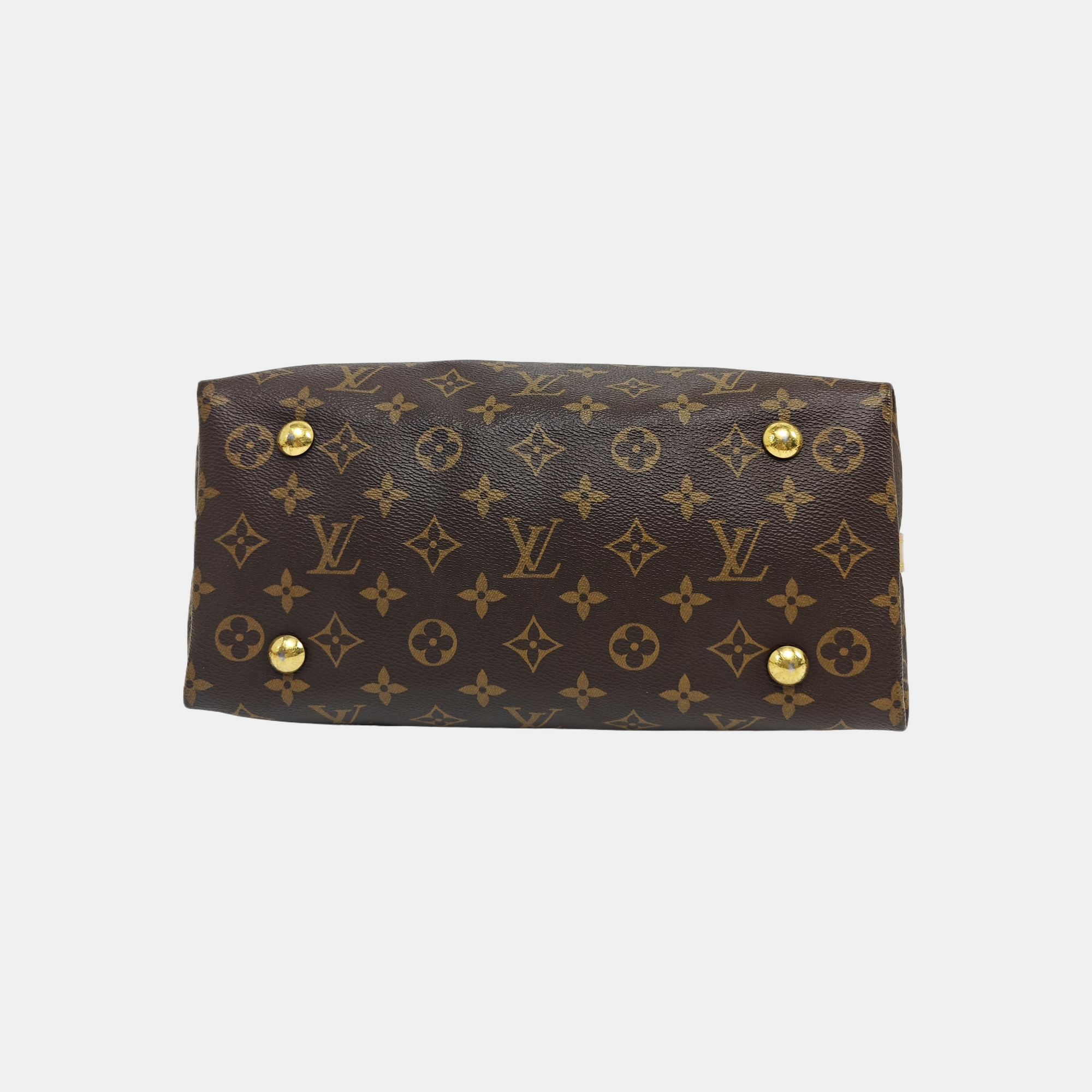 CARRYALL PM Monogram Coated Canvas Brown