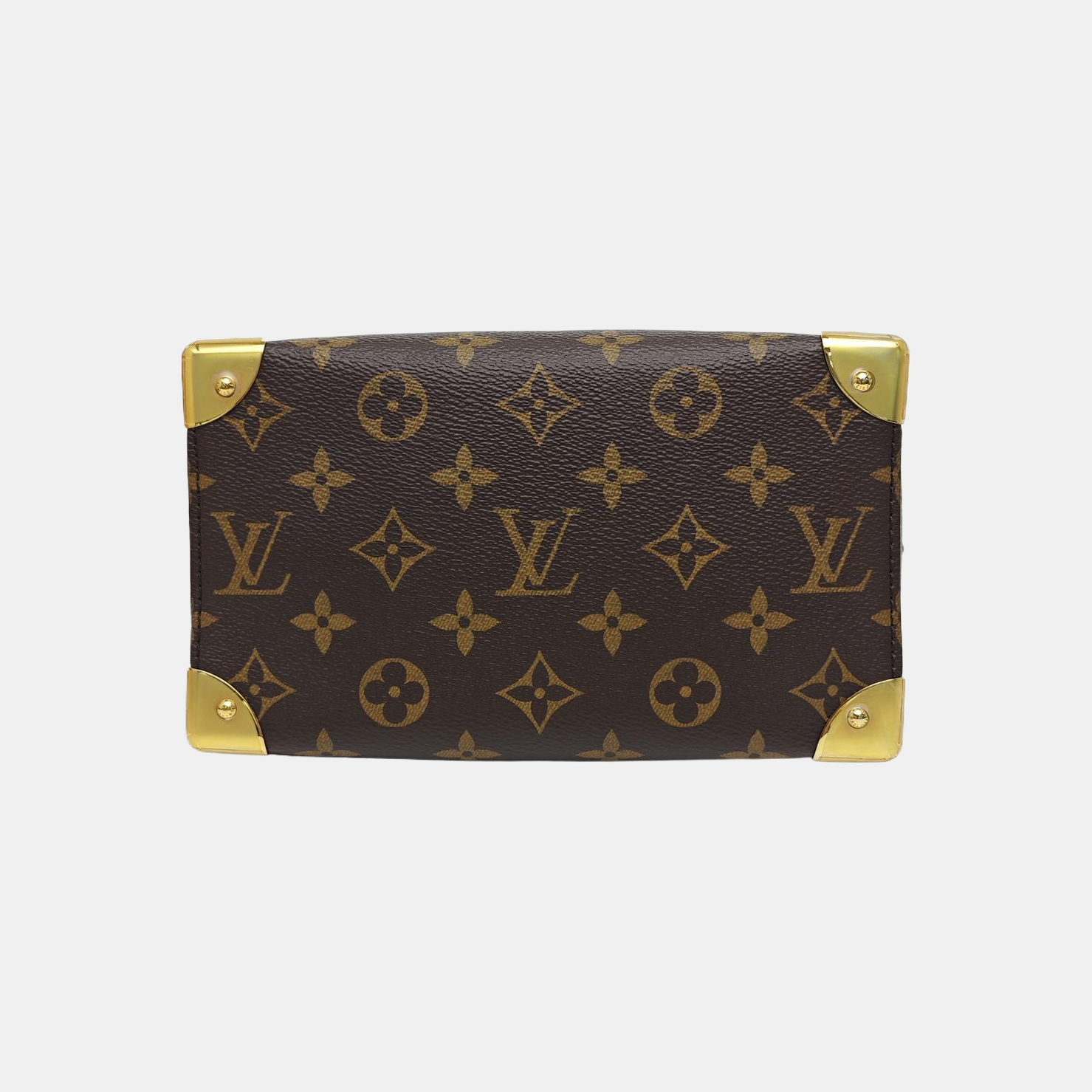 SPEEDY TRUNK 20 Monogram Coated Canvas Brown