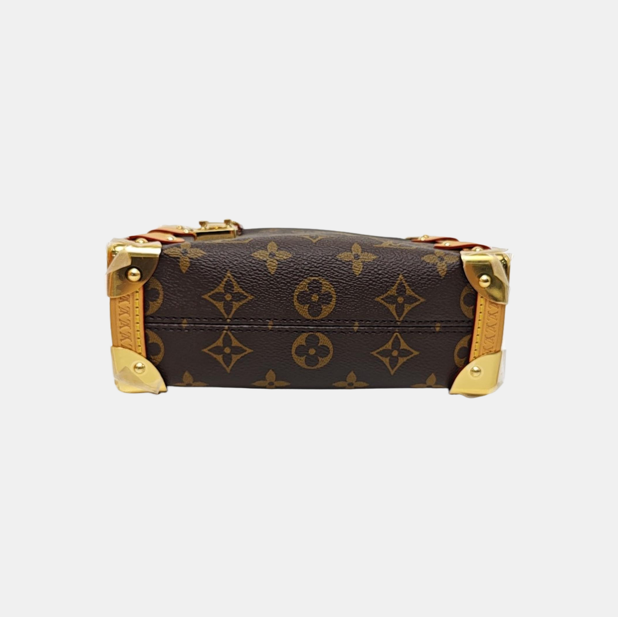 SIDE TRUNK PM Monogram Coated Canvas Brown