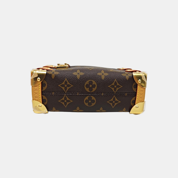 SIDE TRUNK PM Monogram Coated Canvas Brown
