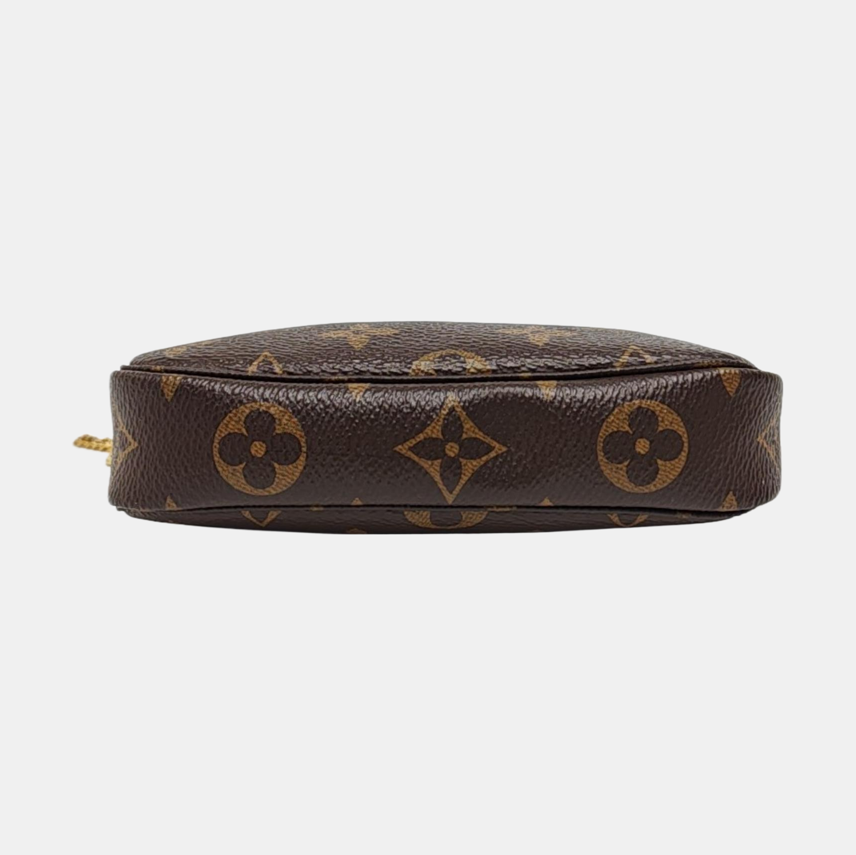 ACCESSOIRES Mini Monogram Coated Canvas Brown