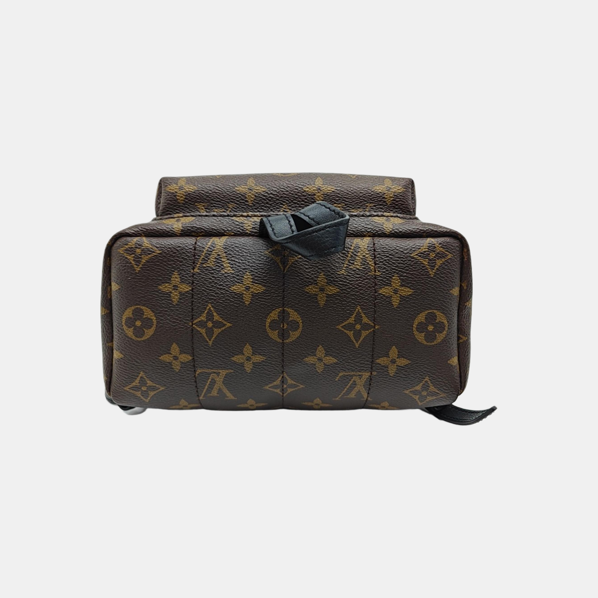 PALM SPRINGS PM Monogram Coated Canvas Brown